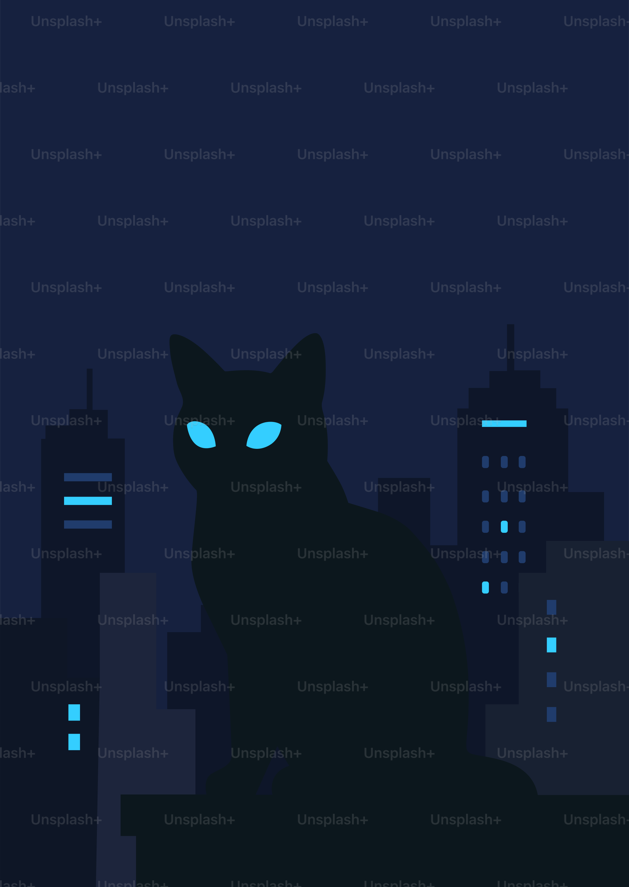 A black cat watches over a city at night.