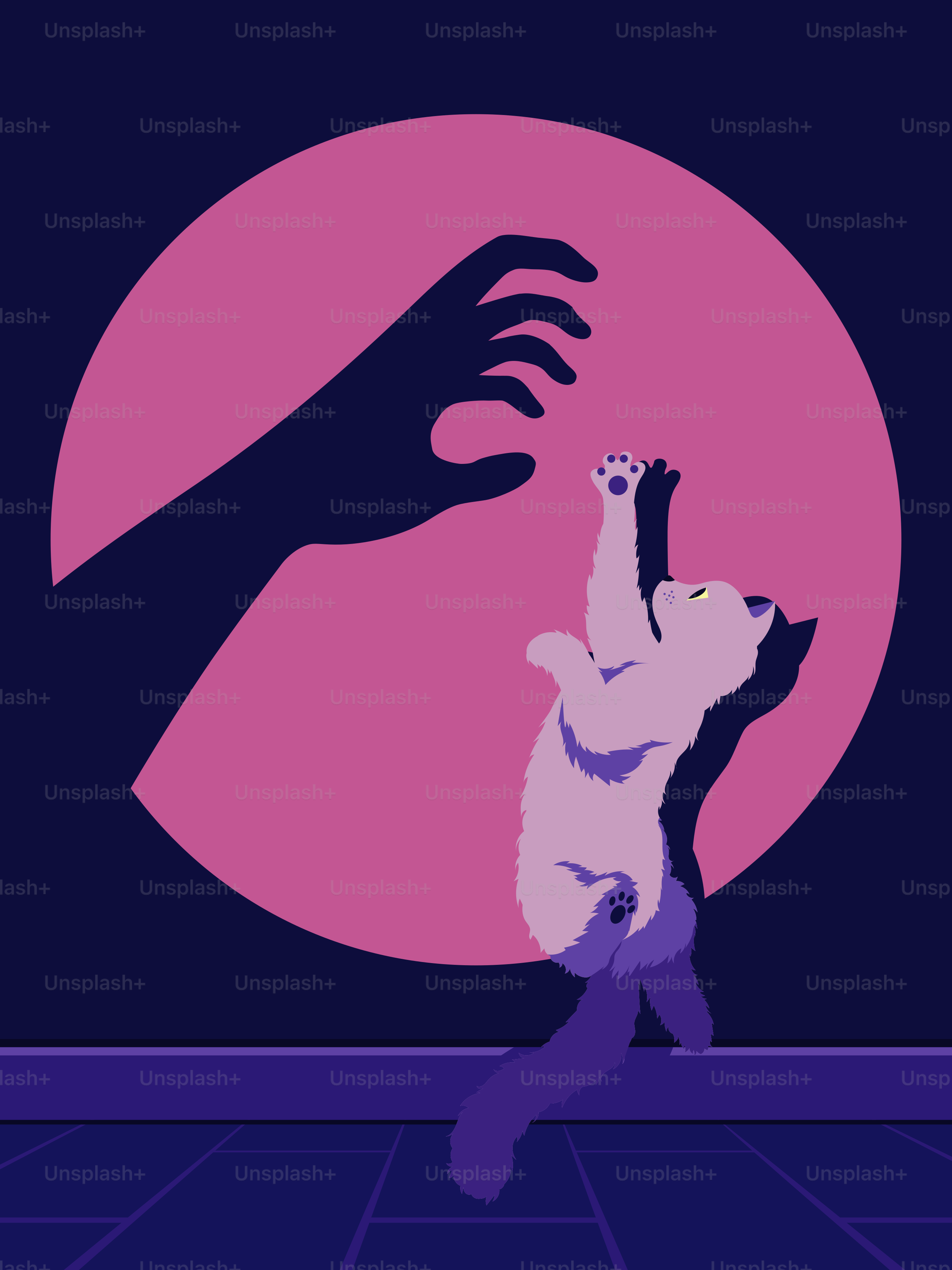 A cat reaches for a shadow hand.