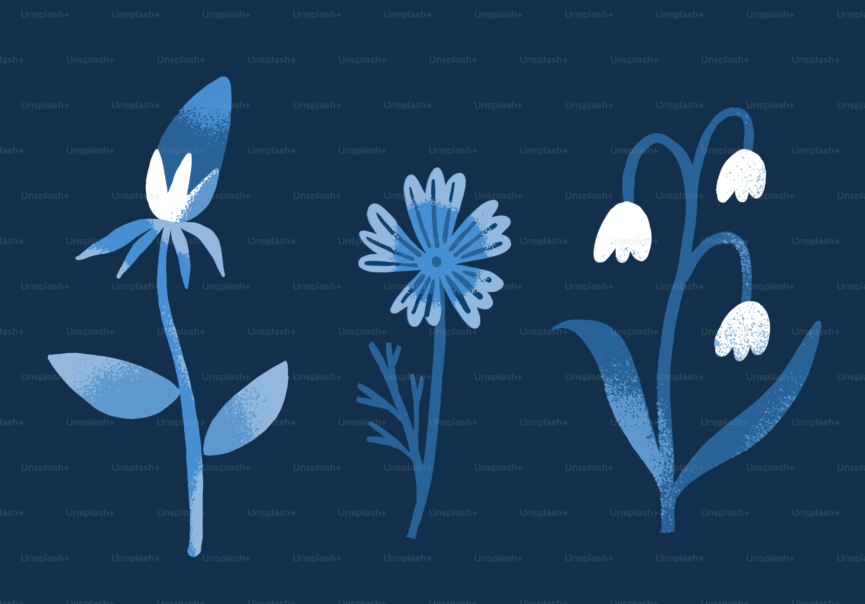 Ilustração floral azul sobre fundo azul-marinho.