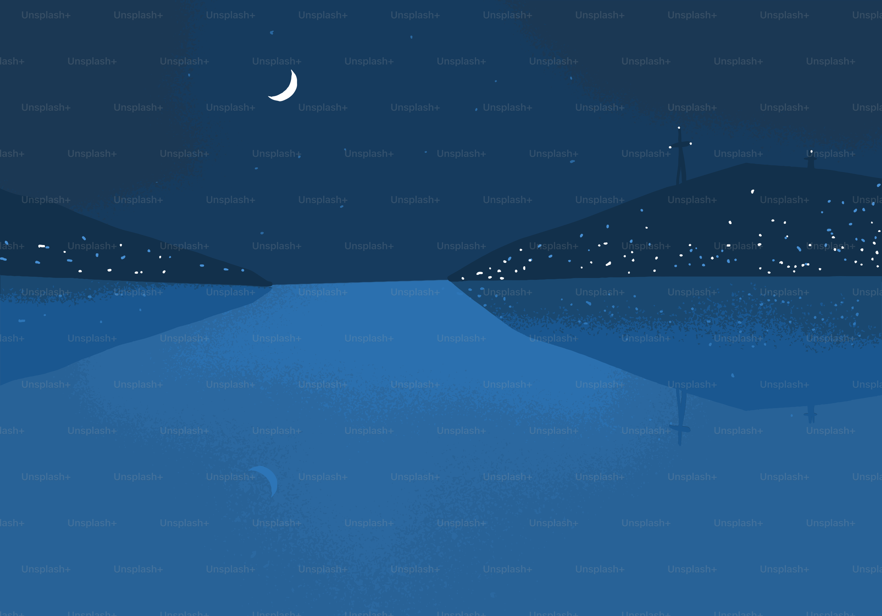 Il paesaggio notturno presenta un lago illuminato dalla luna.