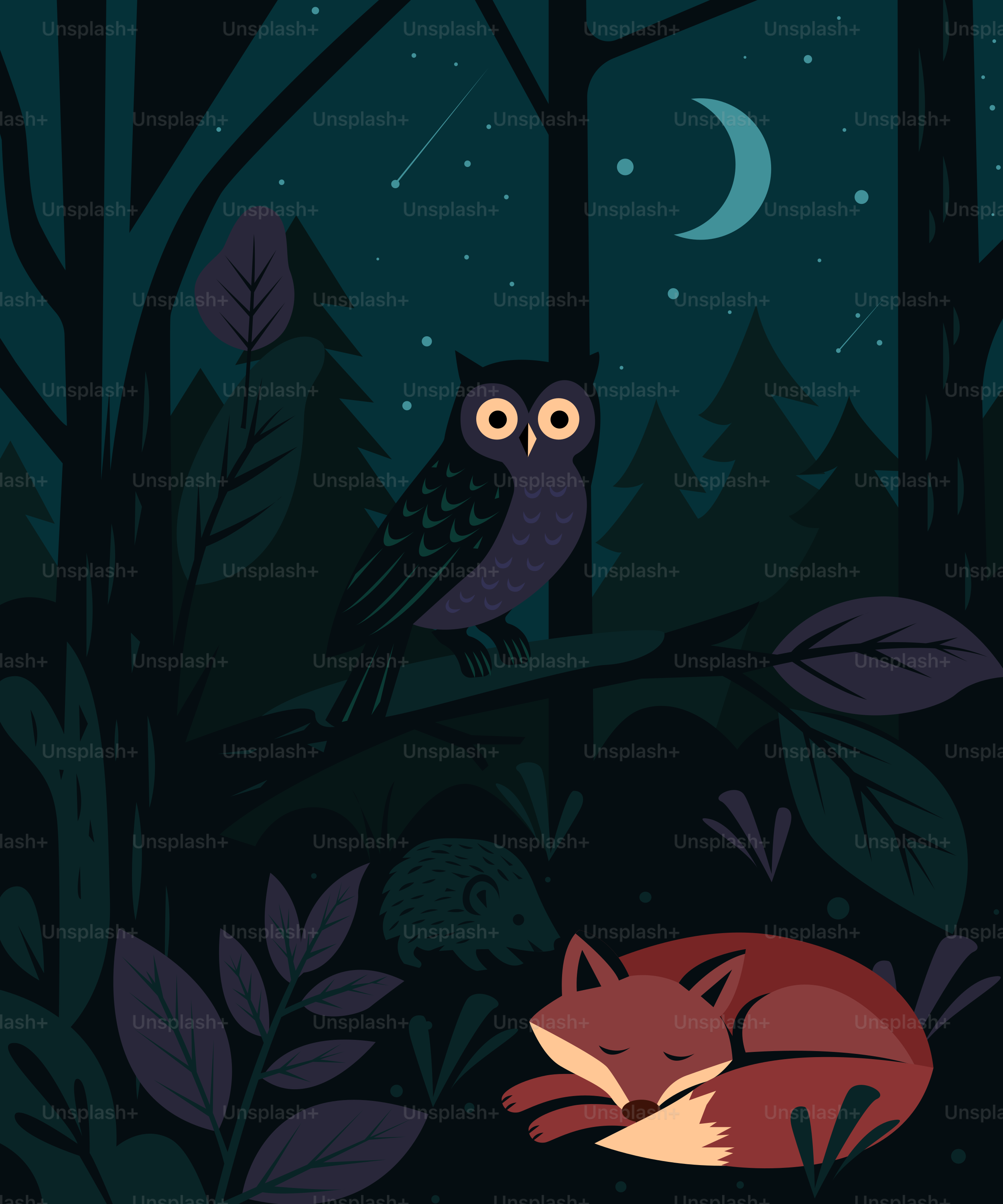 An owl and fox sleep under the night sky.