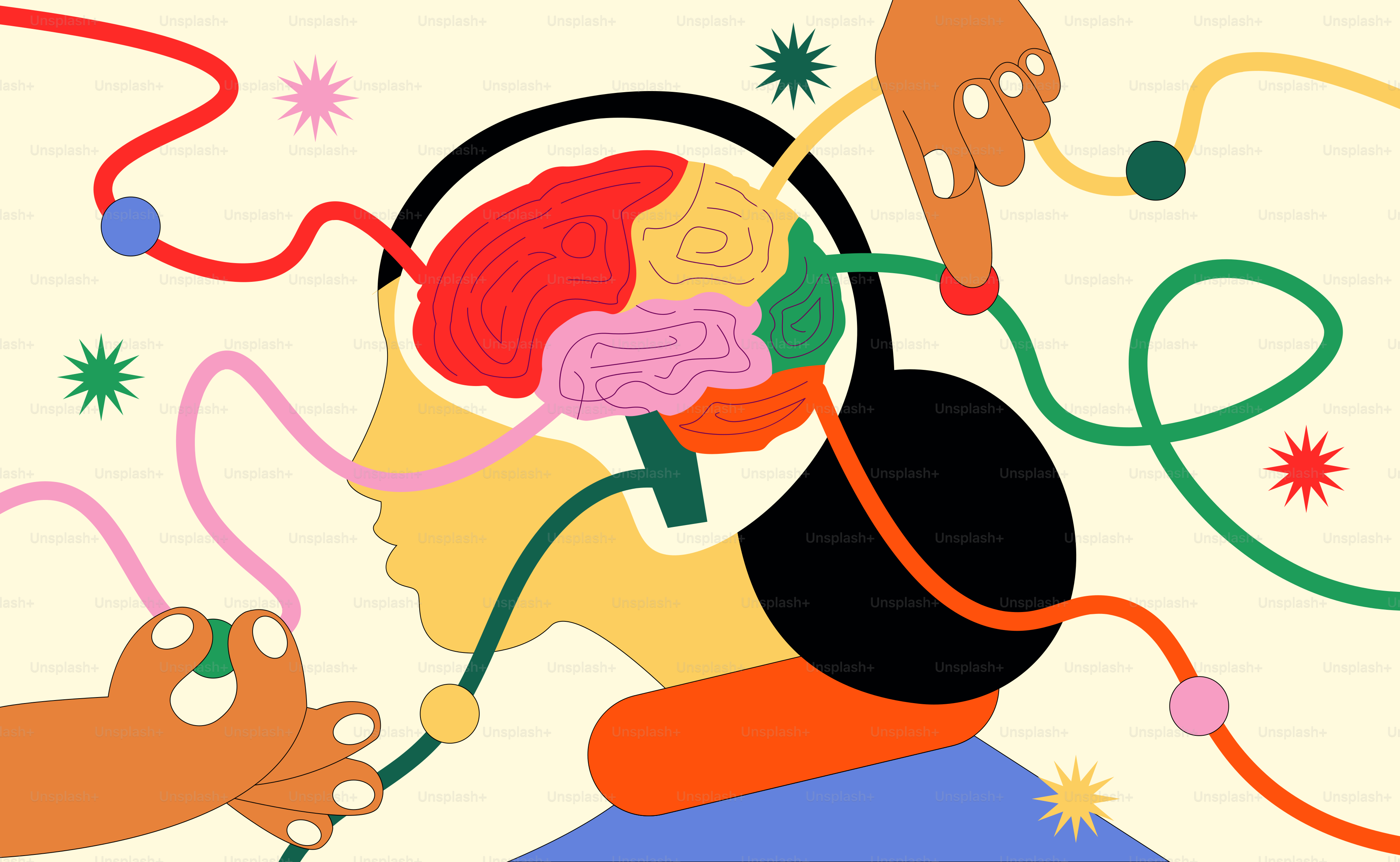 脳活動とつながりを視覚化しました。