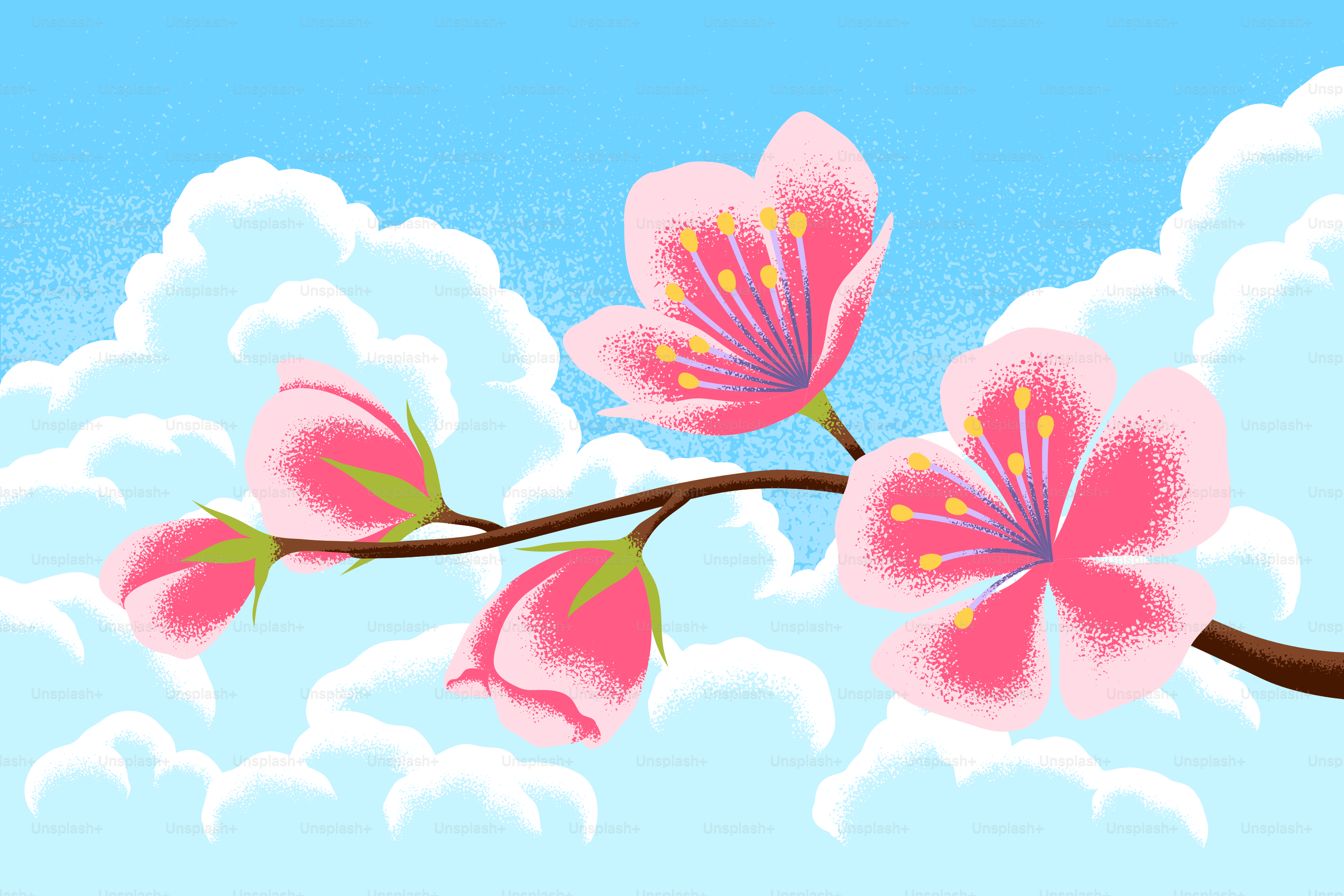 I ciliegi fioriscono splendidamente contro un cielo azzurro.