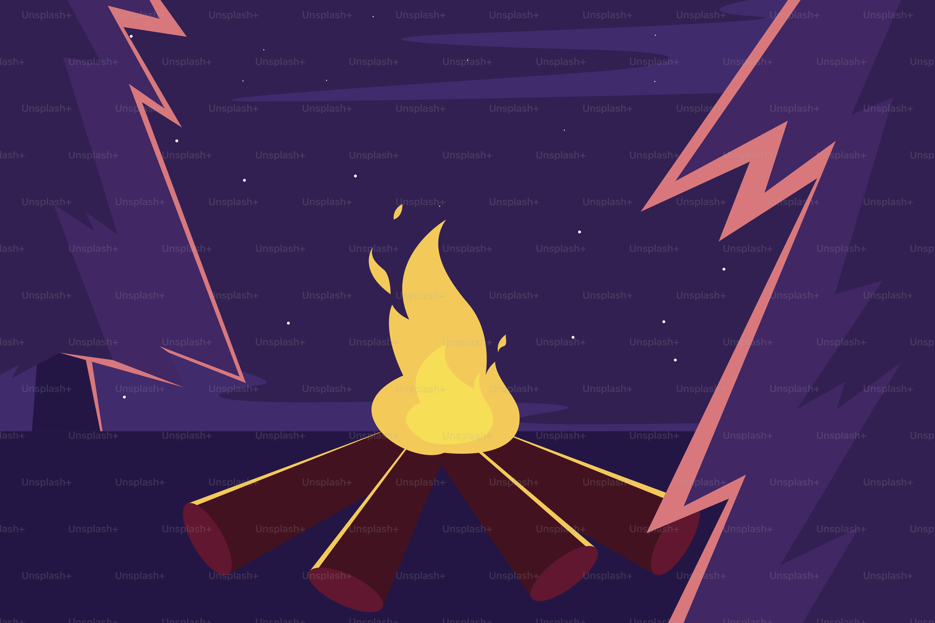 Le feu de camp brûle vivement la nuit dans la forêt.