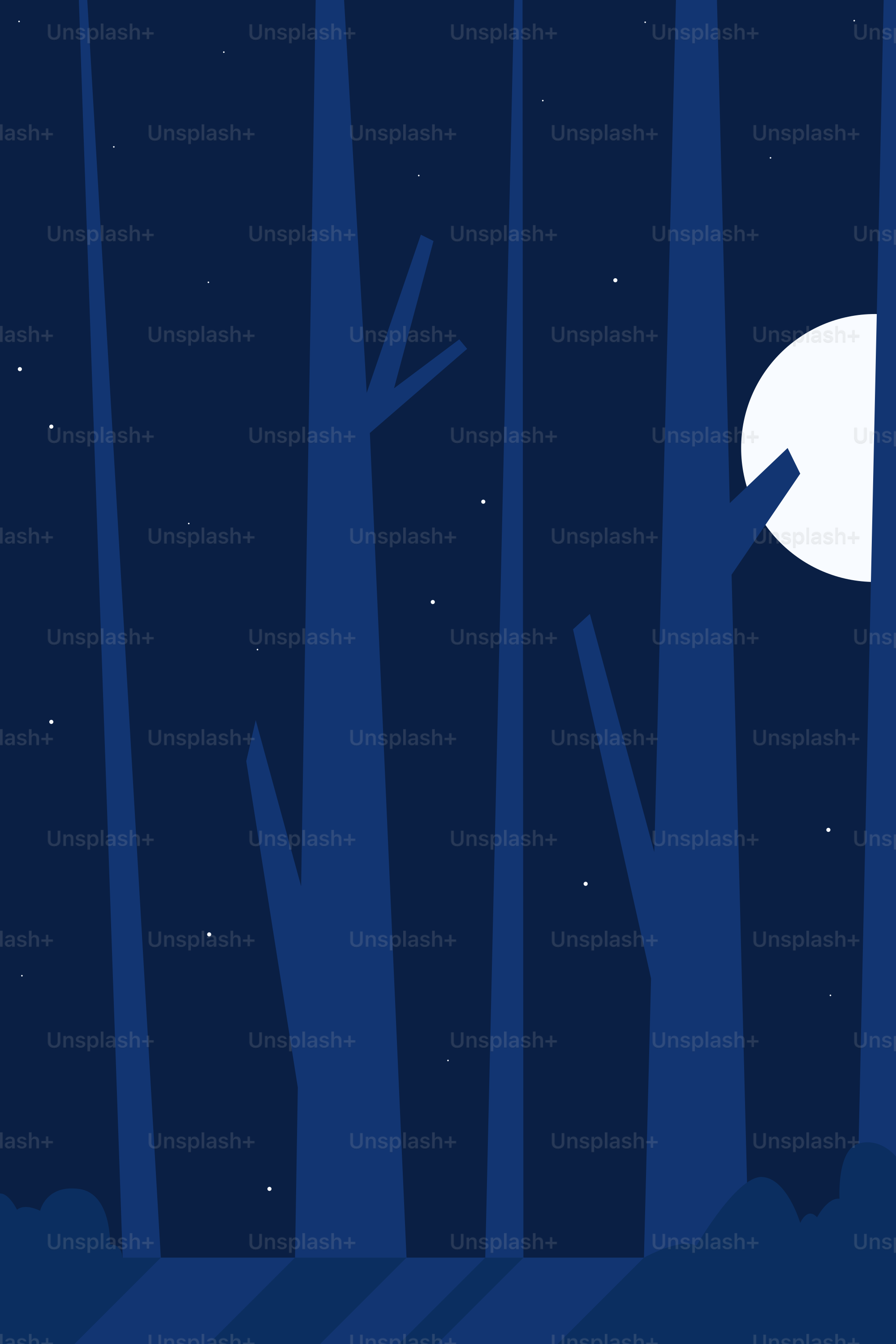 Nighttime forest scene with a bright, crescent moon.