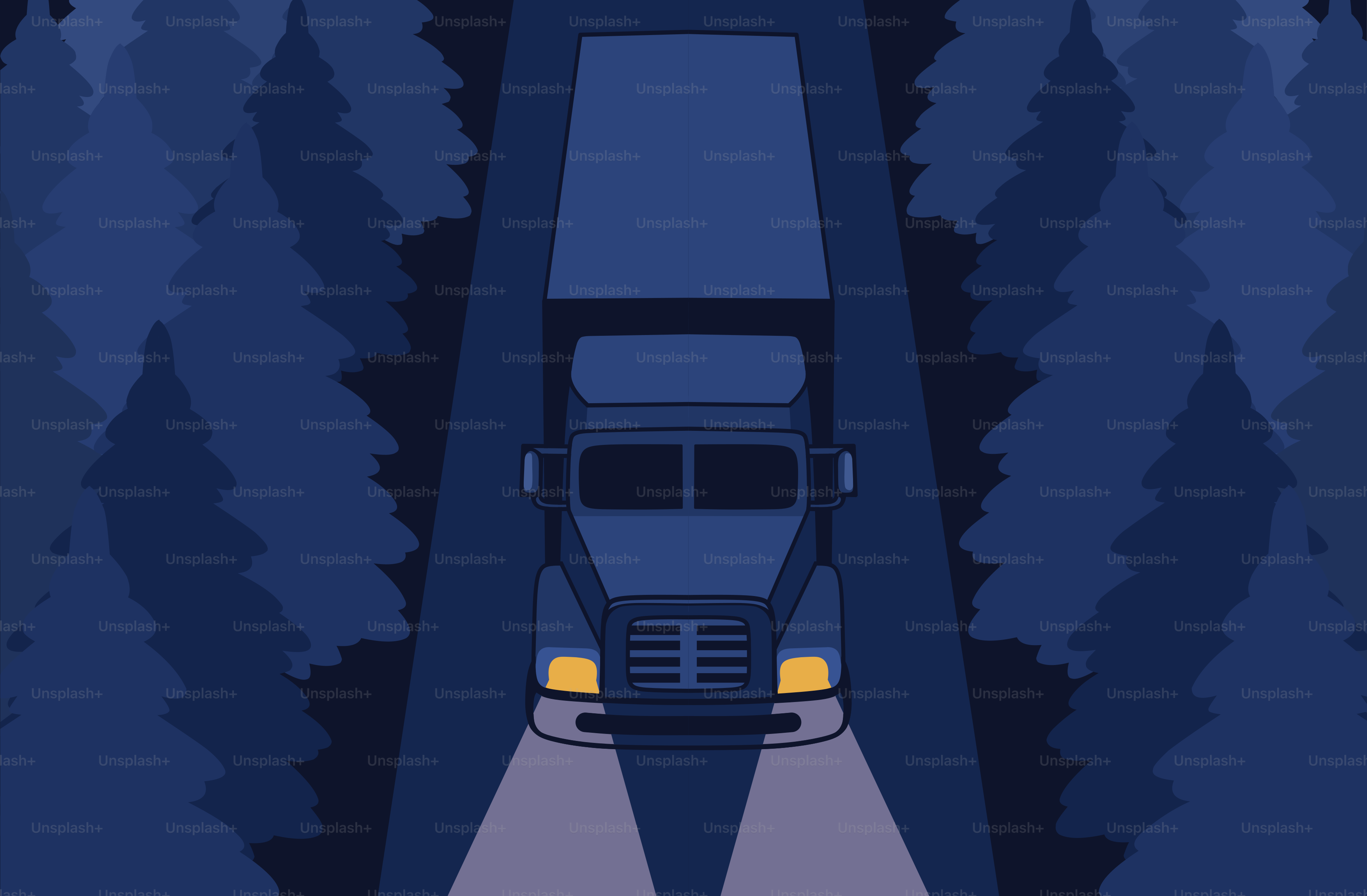 A truck drives at night through a dark forest.