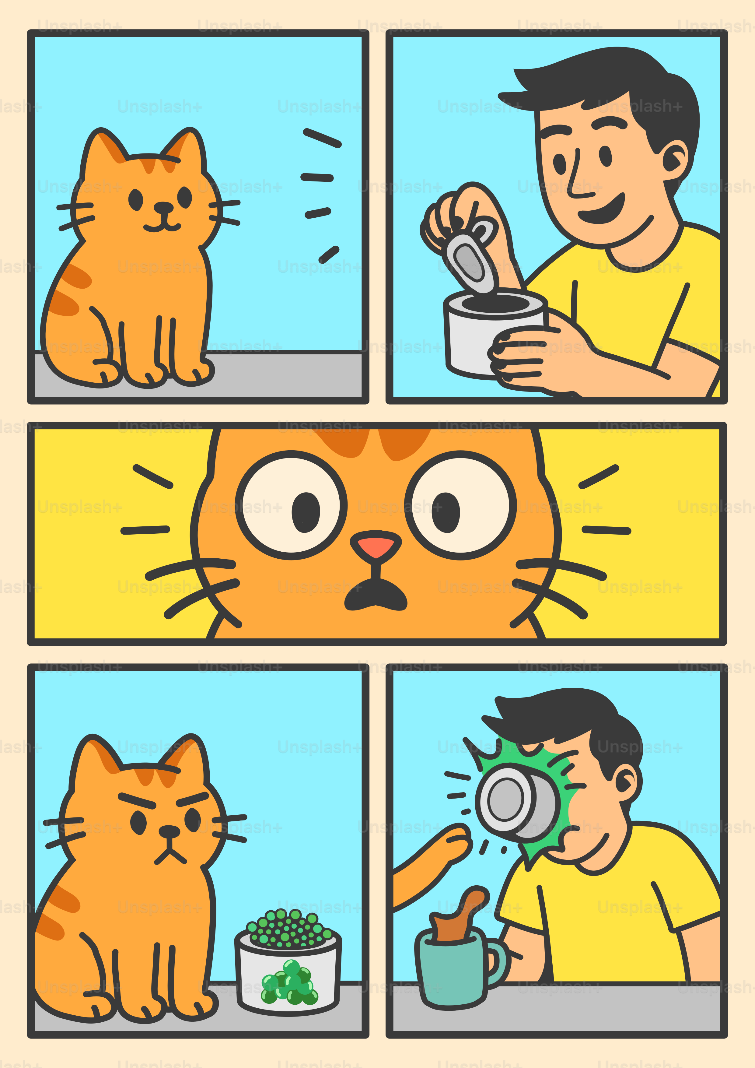 Gato ataca a un humano después de recibir comida no deseada.