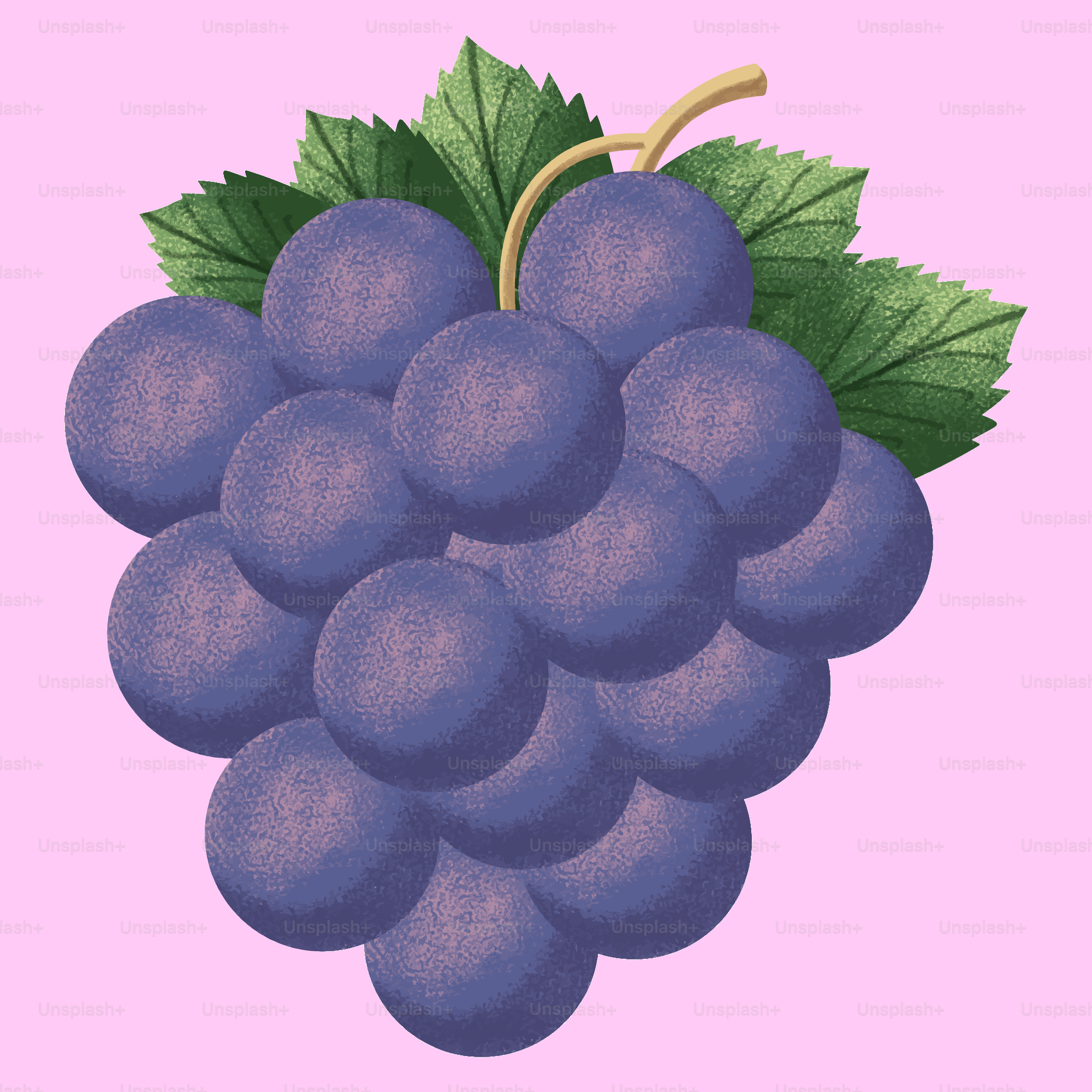 Un racimo de uvas moradas sobre un fondo rosa.
