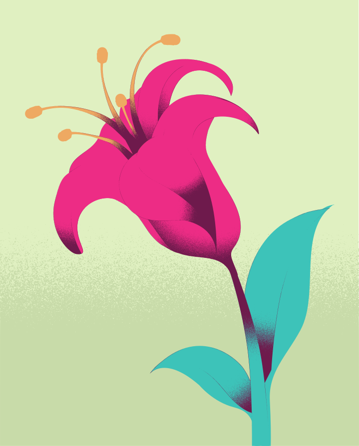 A bright pink flower blossoms upward against green.