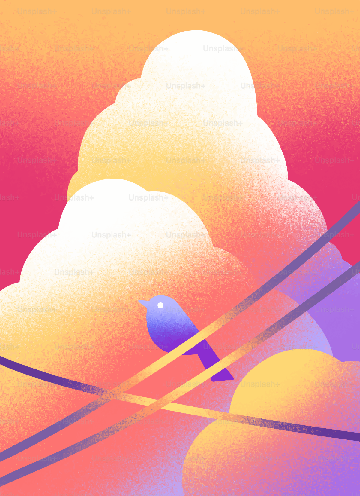 Bird sitzt auf einem Draht vor einem farbenfrohen Himmel.