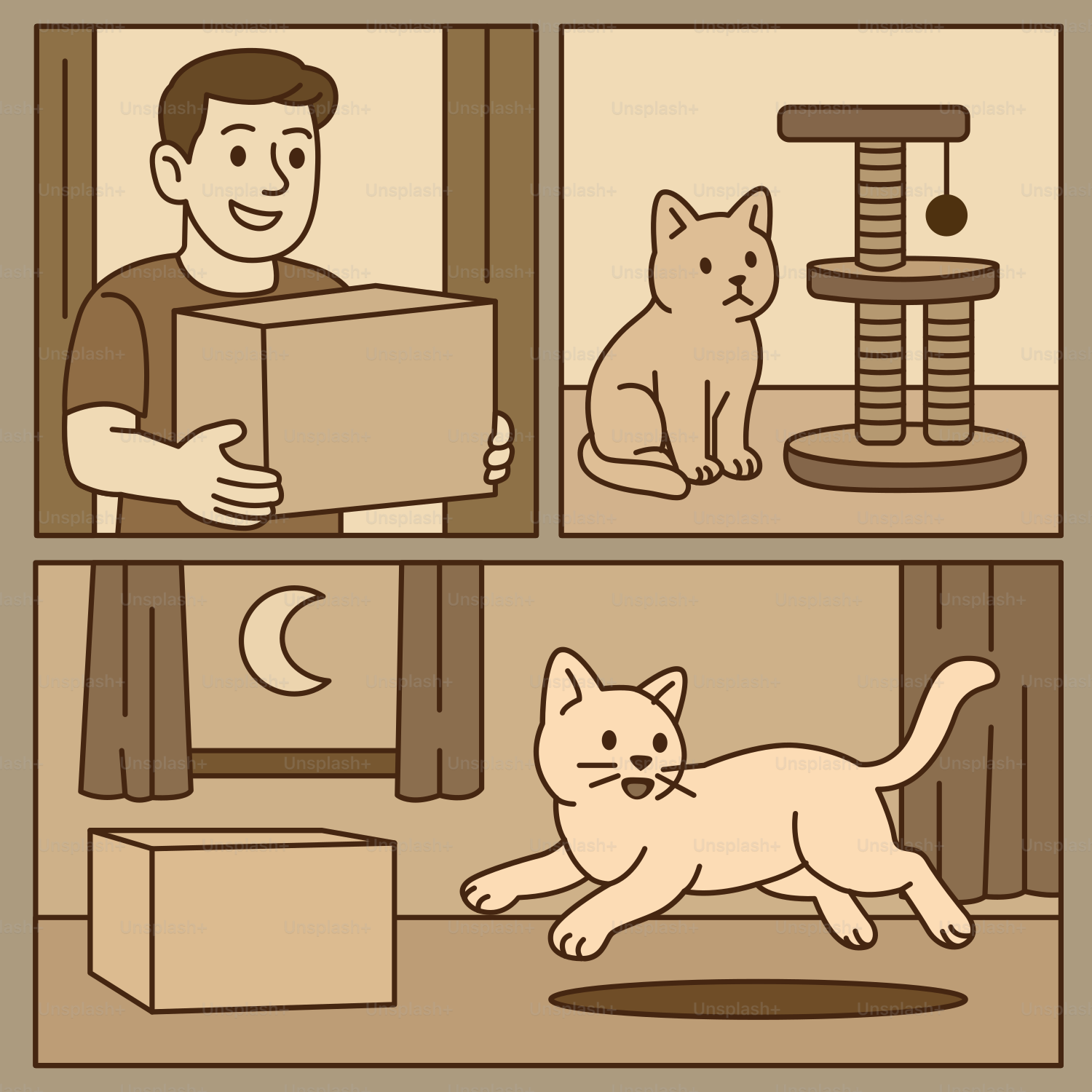 Man gets a box, the cat explores it.