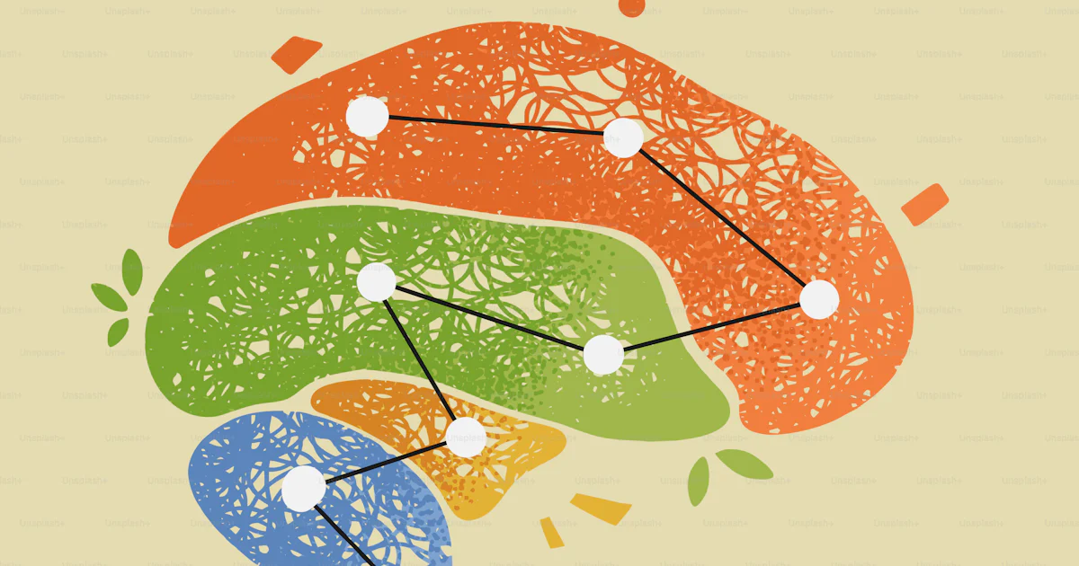 Brain diagram shows connected neural pathways. vector – Illustration ...
