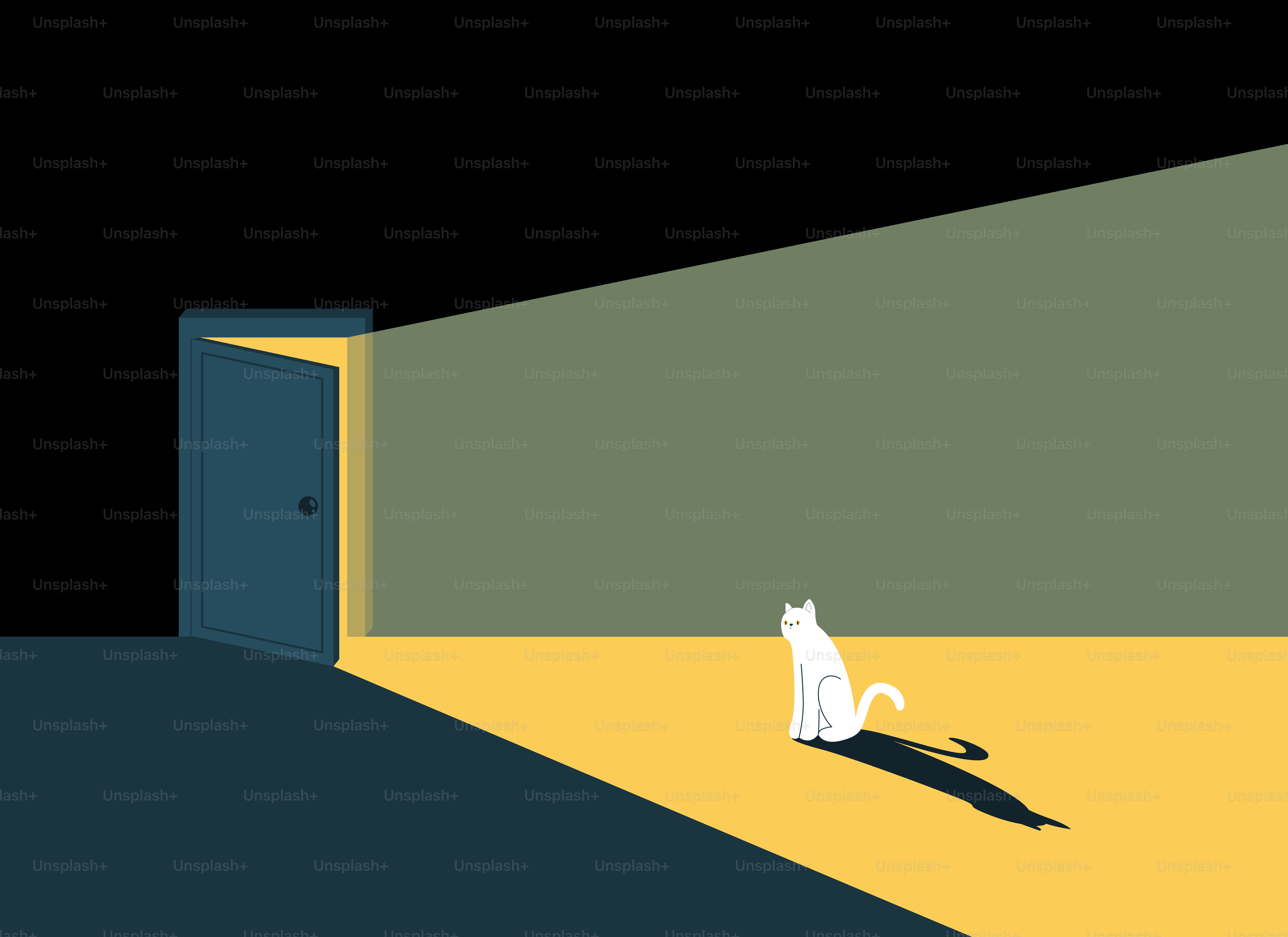 Um gato branco está sentado, olhando para a luz brilhante.