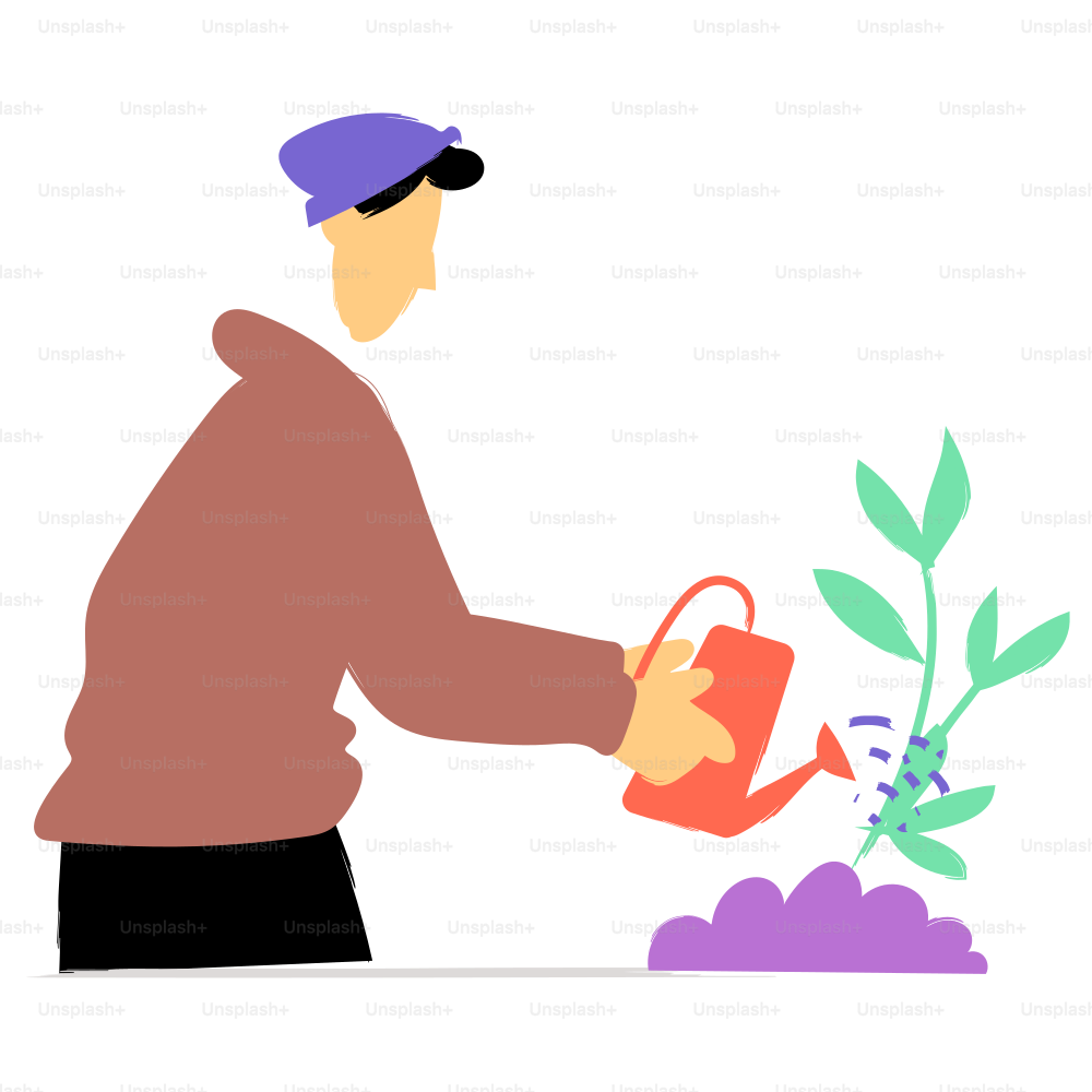 Una persona riega una planta con una regadera