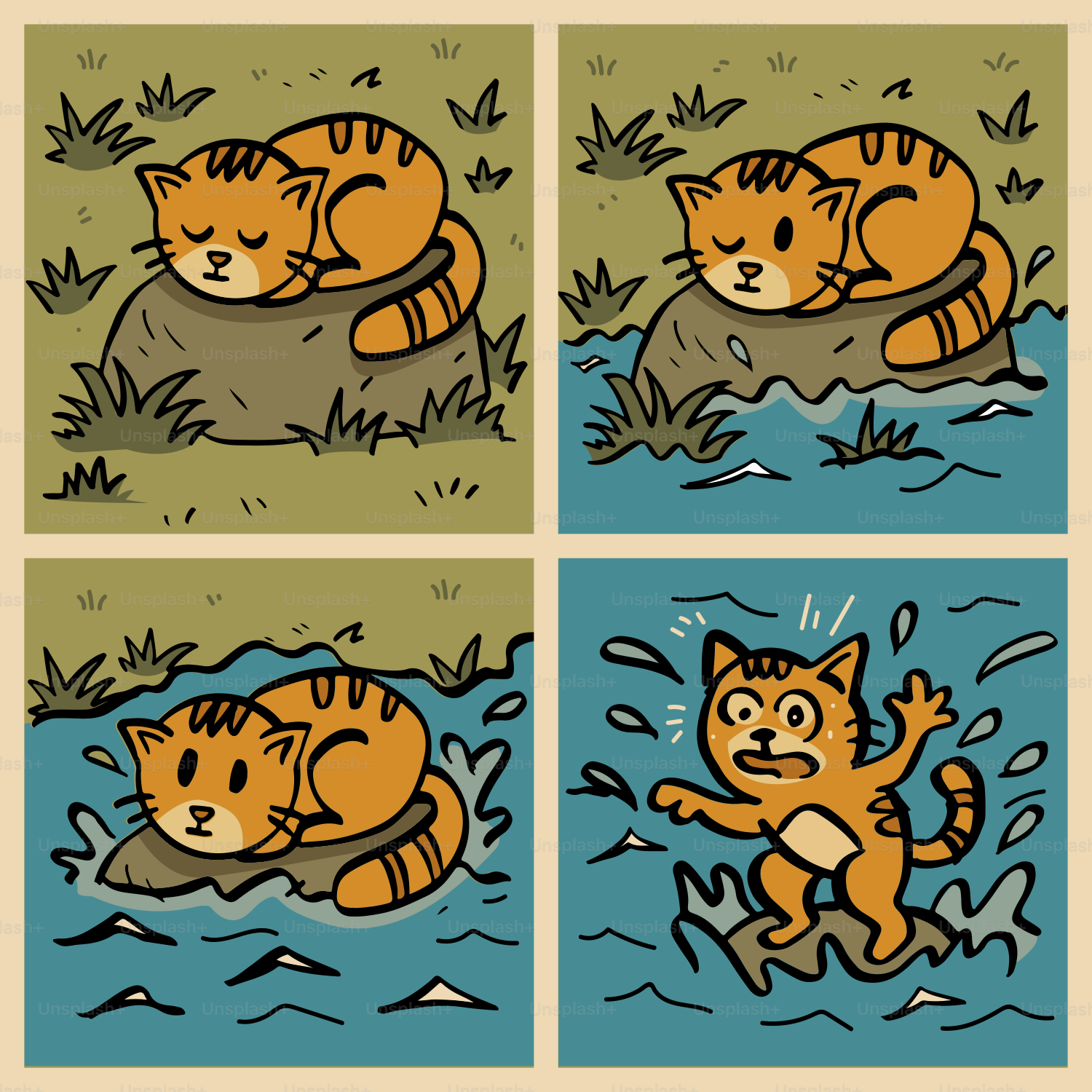 Cat has a rude awakening in the water!