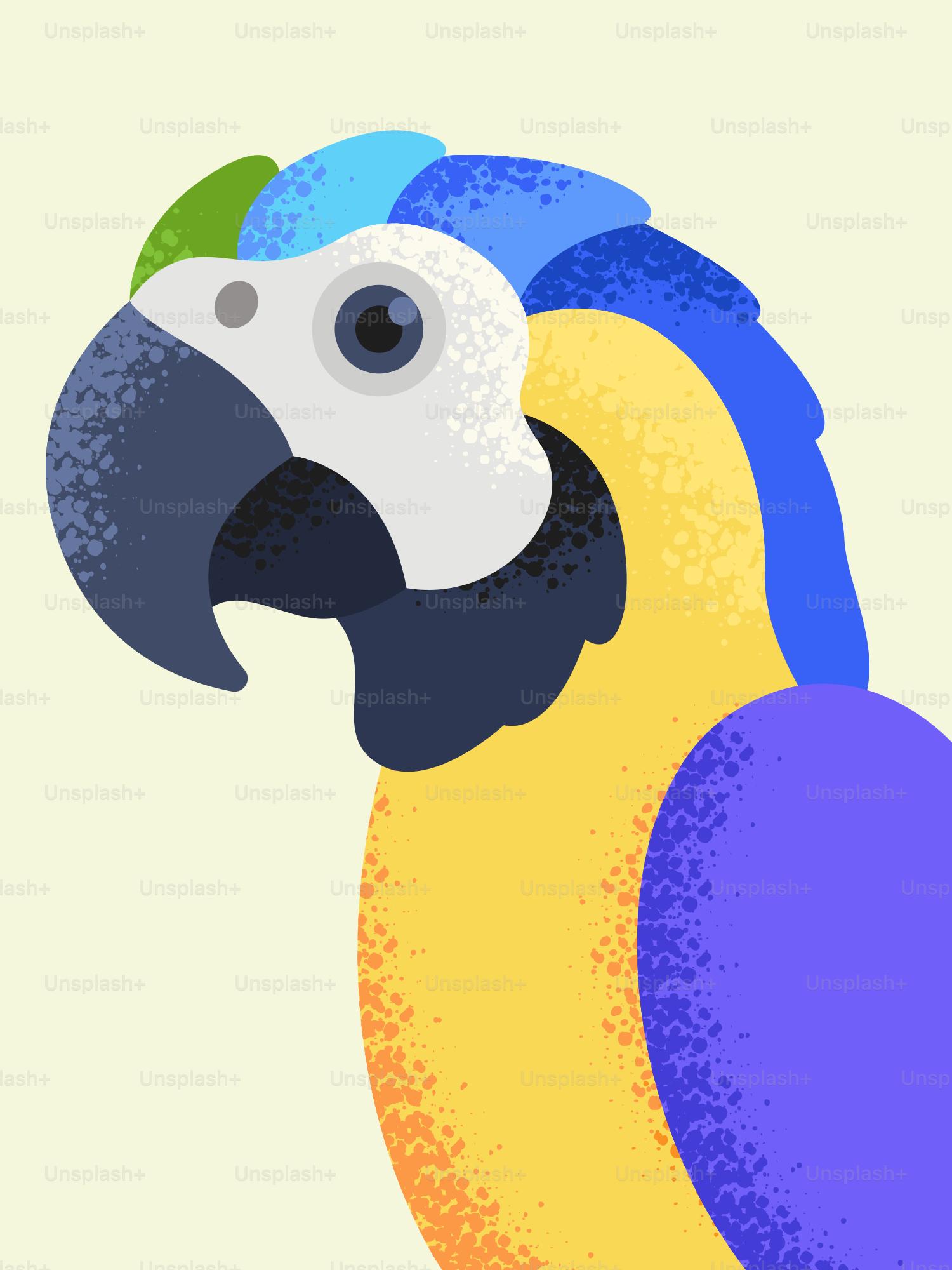 A colorful parrot with unique feather colors.