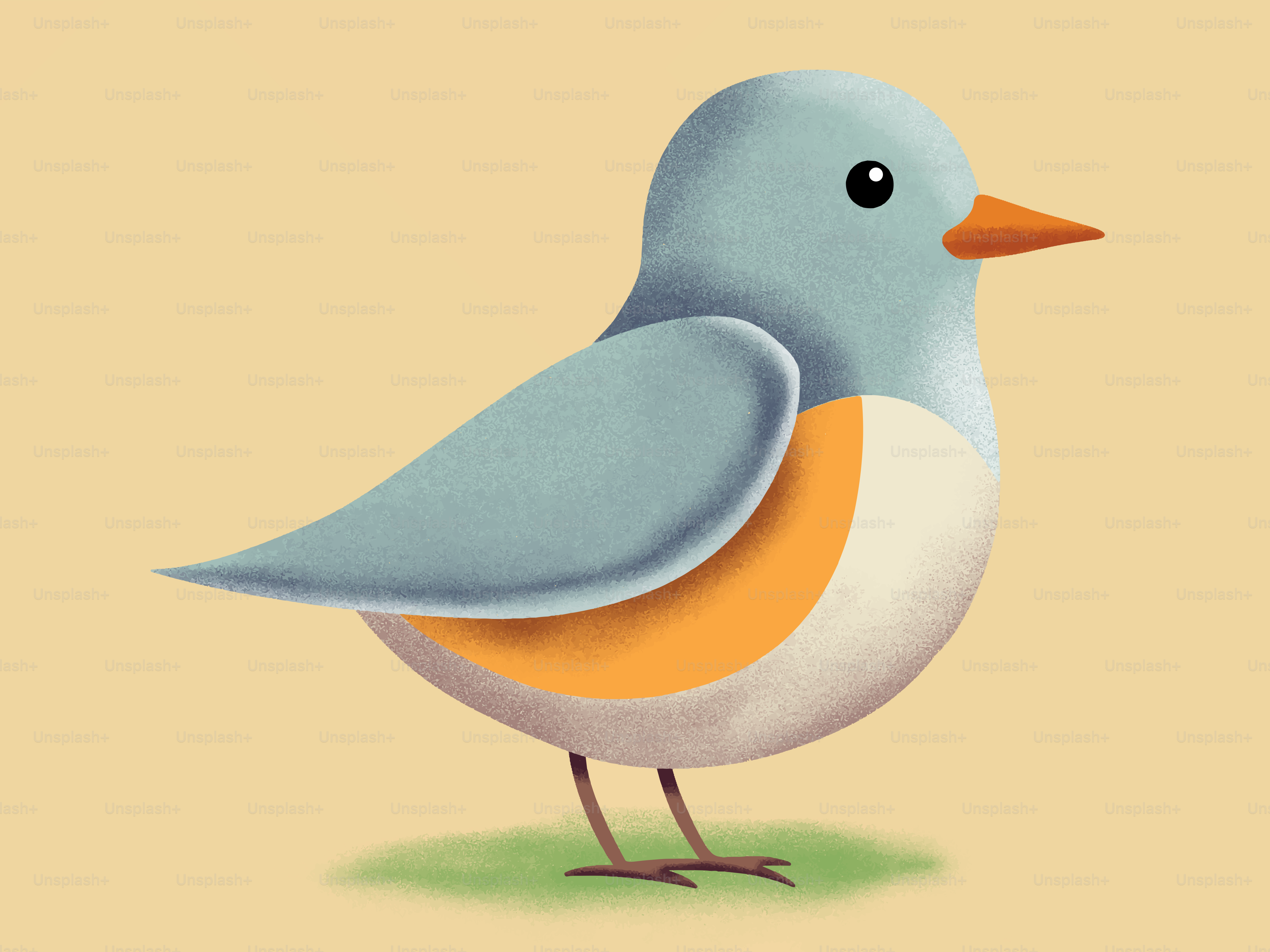 A cute, cartoon bird with blue and orange feathers. vector – Texture Image  on Unsplash, image size:3000x2250