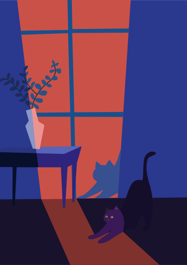 A cat stretches in a beam of sunset light.