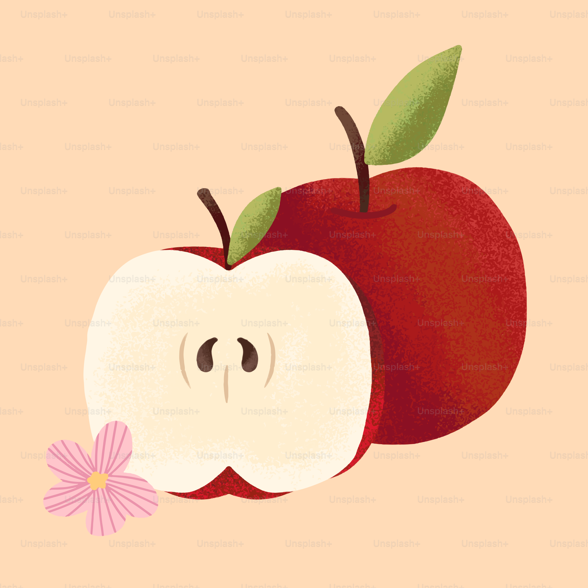 Two red apples with a cut-open one.