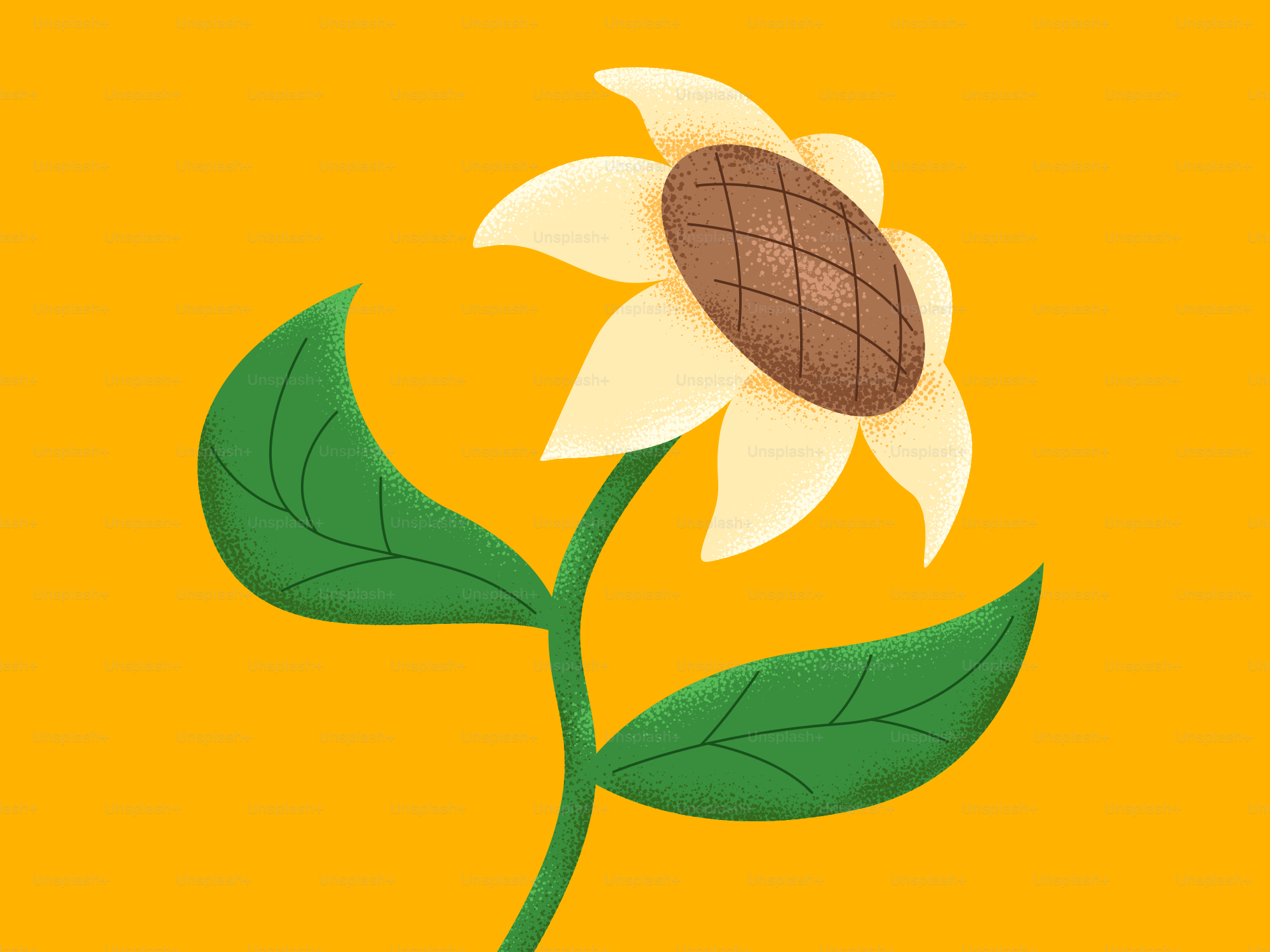 Um lindo girassol em desenho animado floresce em amarelo.
