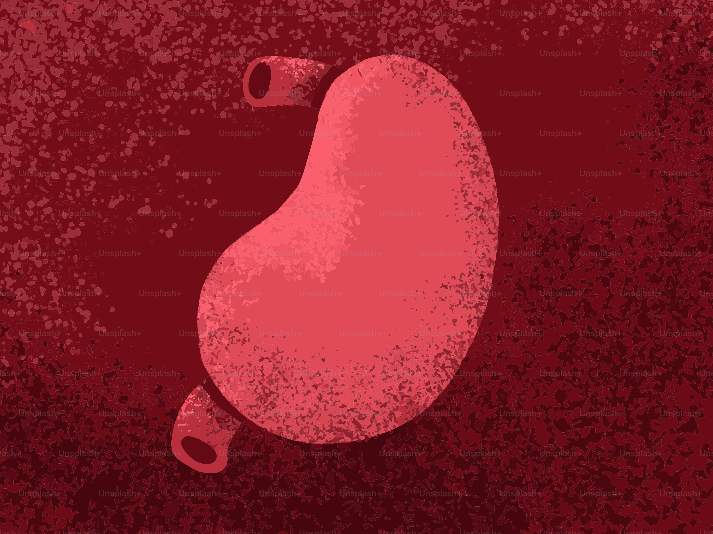 赤いカートゥーンのお腹のイラスト。
