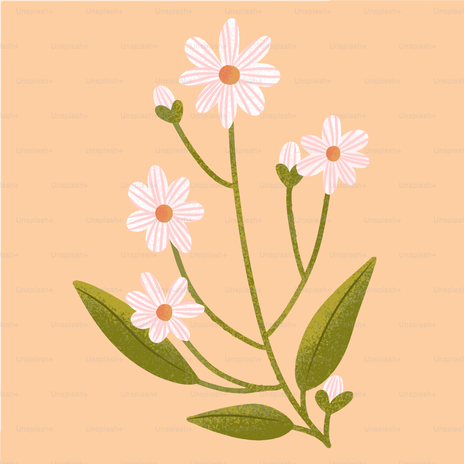 Delicati fiori bianchi sbocciano su uno sfondo pesca.