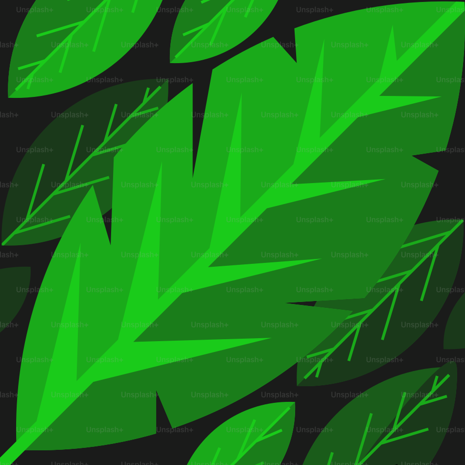 Green leaves arranged in a dark background.