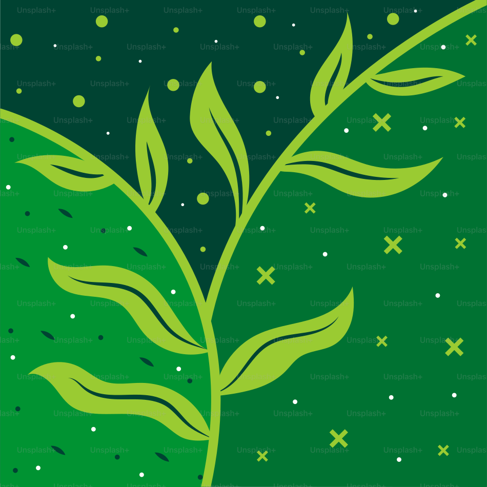 Une plante verte aux feuilles et au fond sombre.