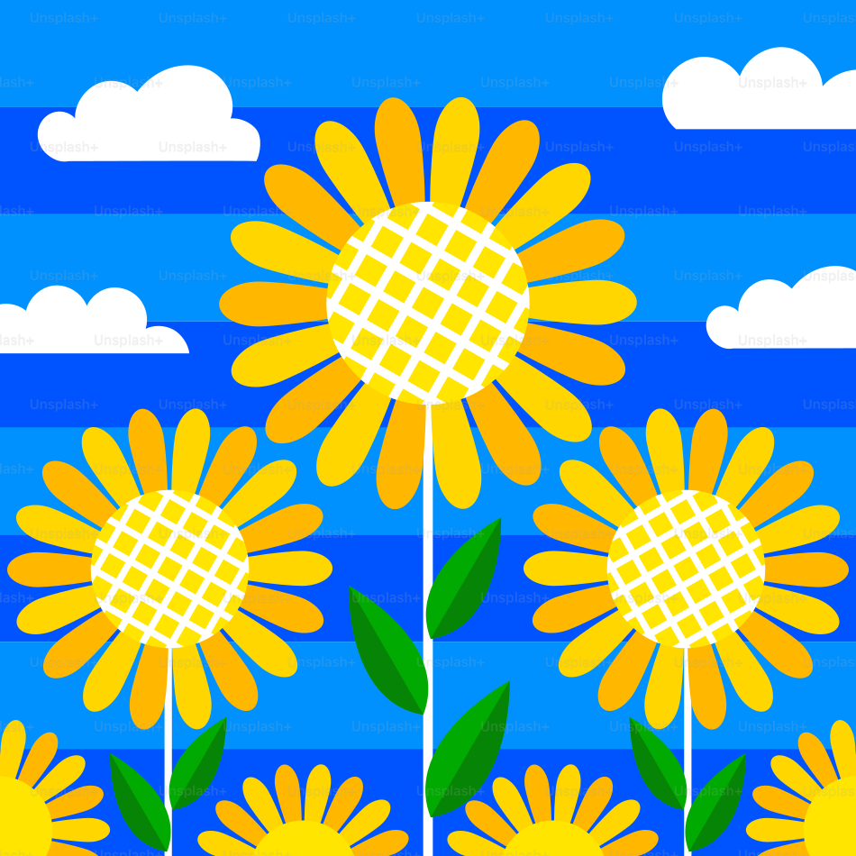 Los girasoles florecen contra un cielo rayado de azul.