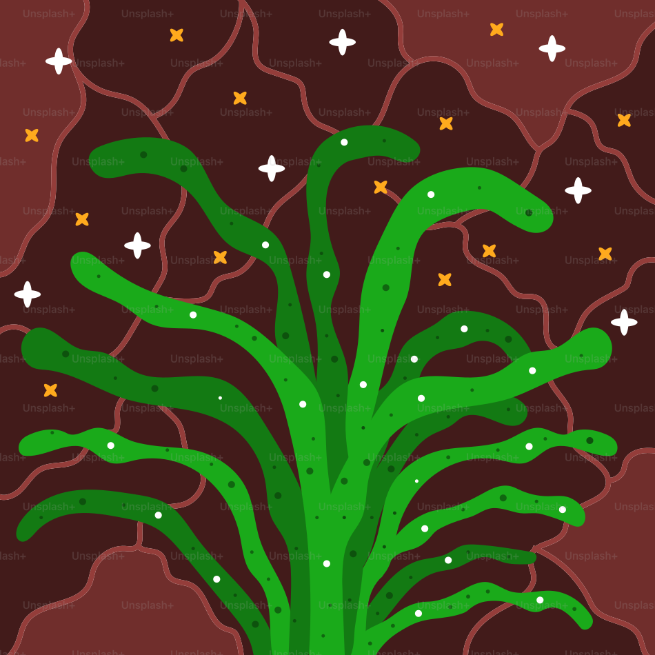 Plante verte avec des étoiles sur fond brun.