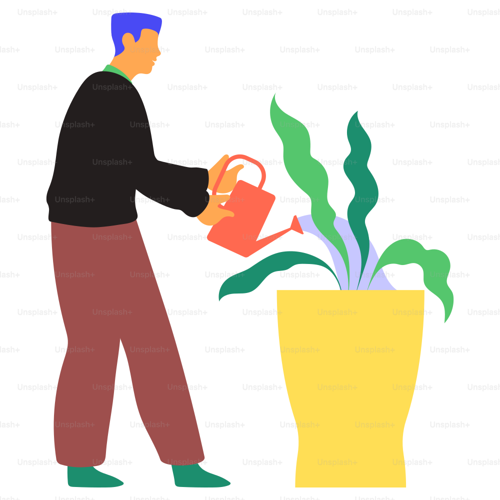 A man waters a plant.