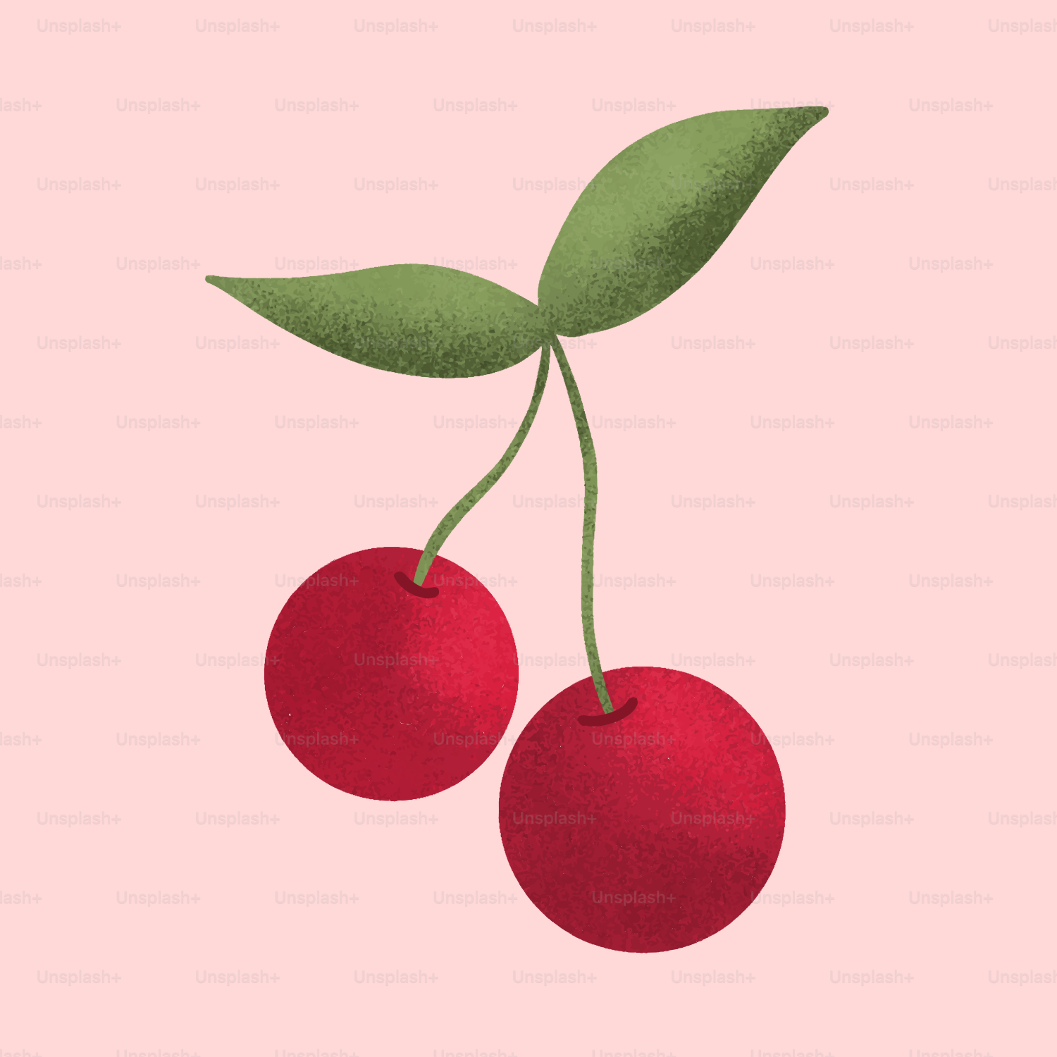 Zwei rote Kirschen mit grünen Blättern.