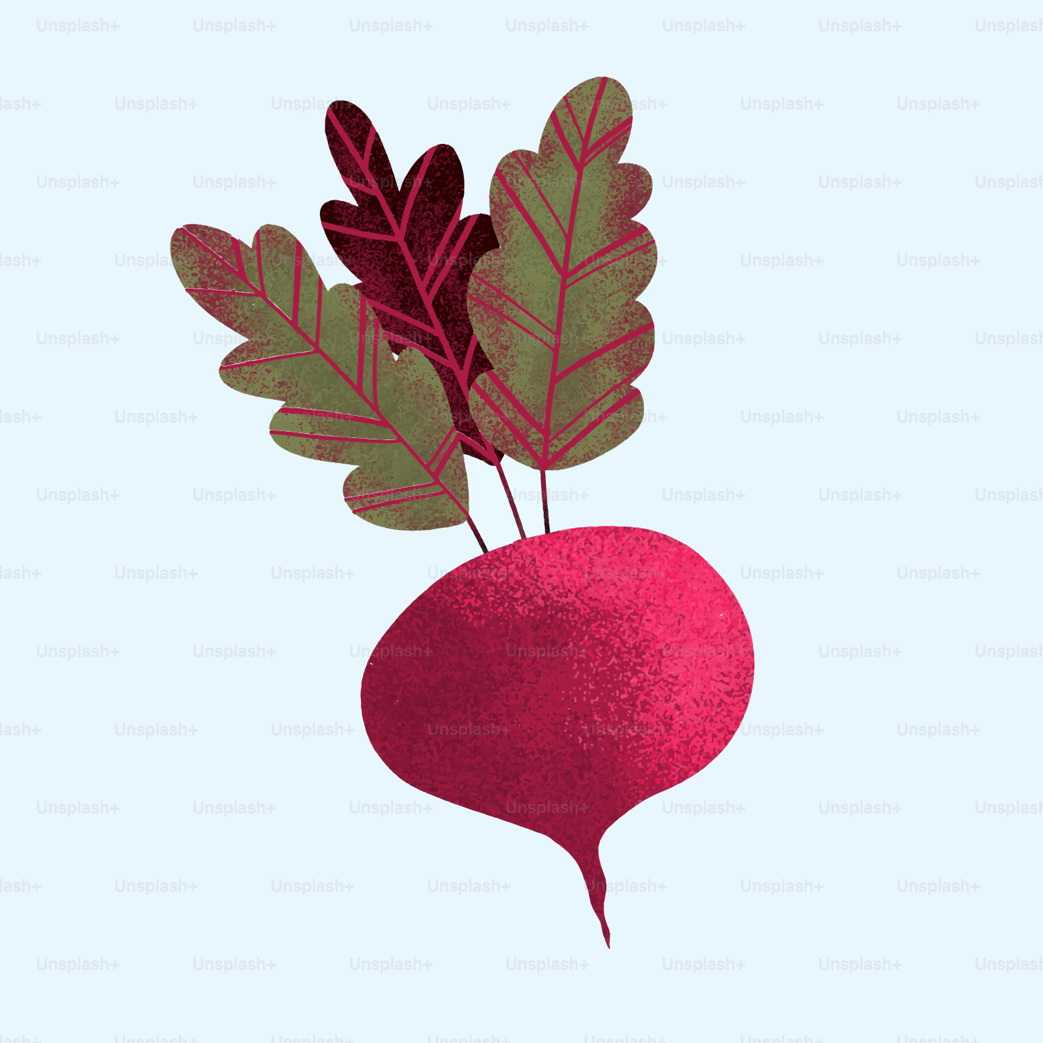 A vibrant beet with its green leaves.