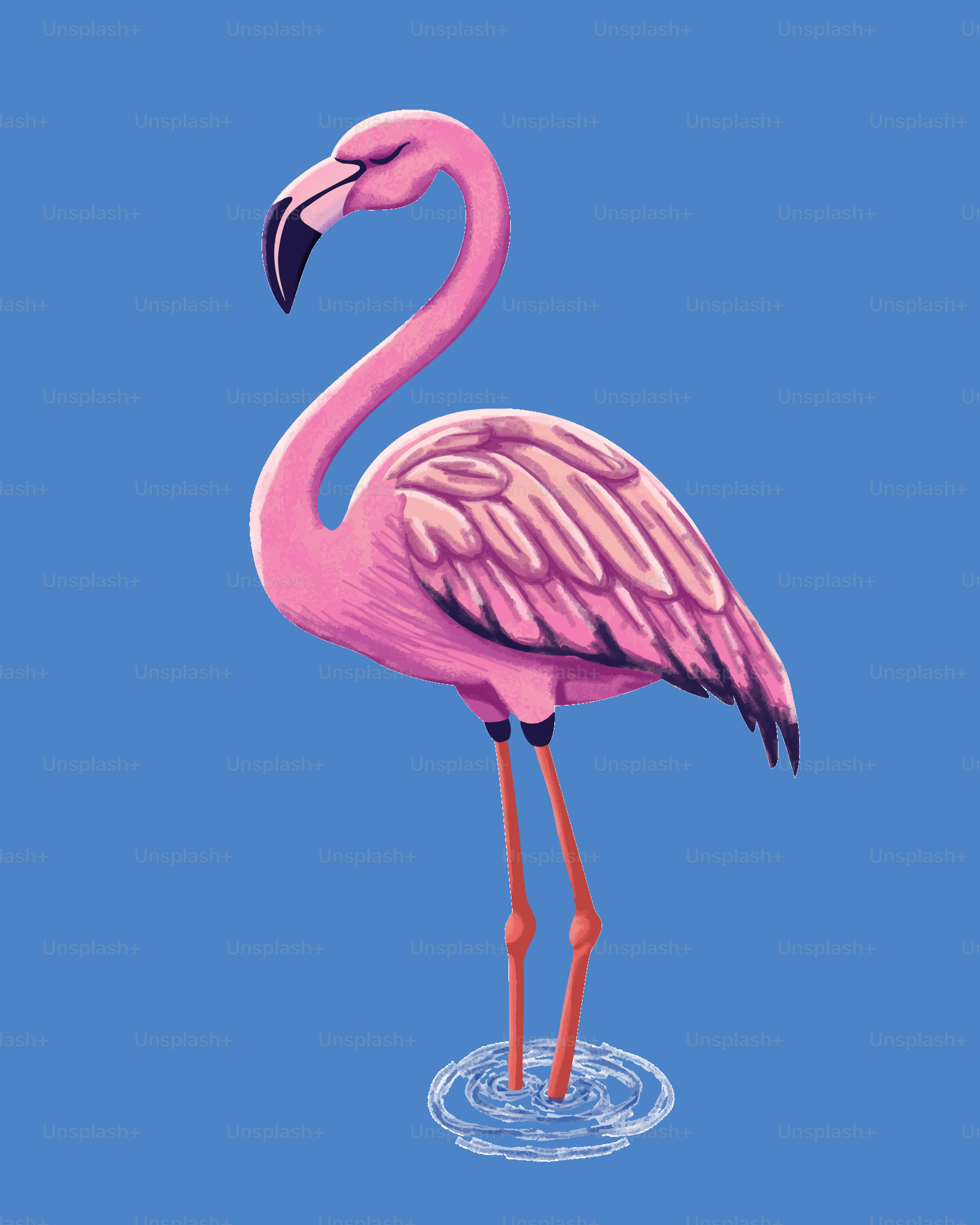 Ein rosa Flamingo steht anmutig auf einem Bein