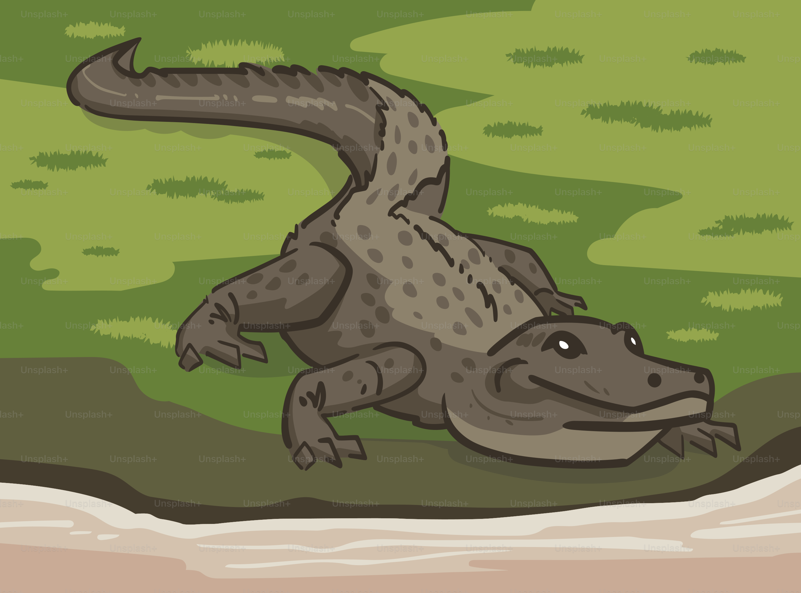 An alligator crawls across a grassy bank.