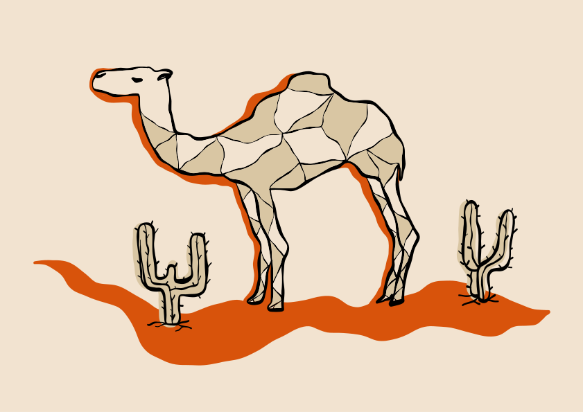 A camel stands in the desert with cactus. vector  Animal Image on Unsplash