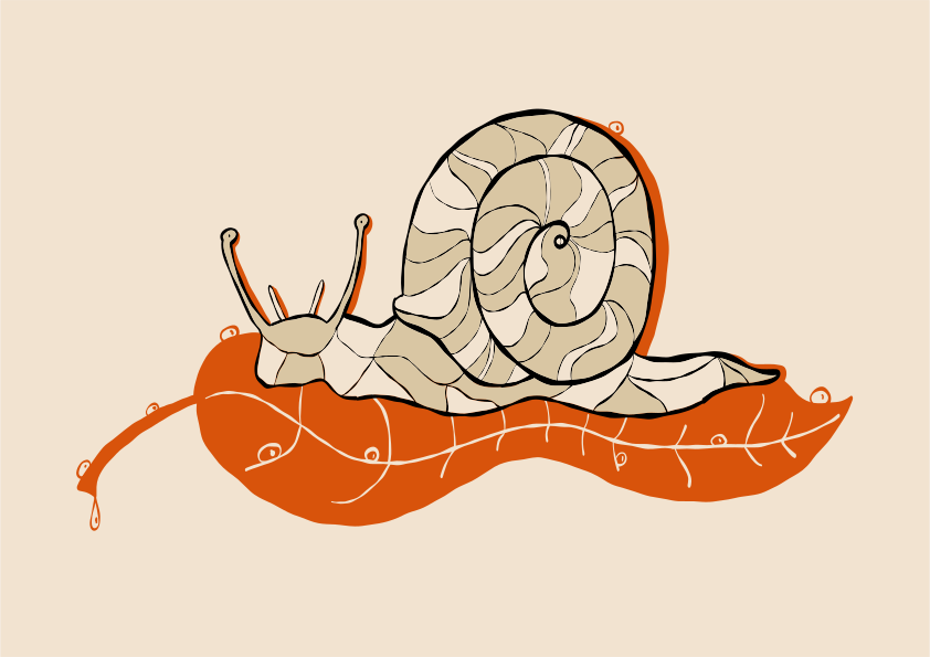 秋の葉の上に静かに休むカタツムリ。