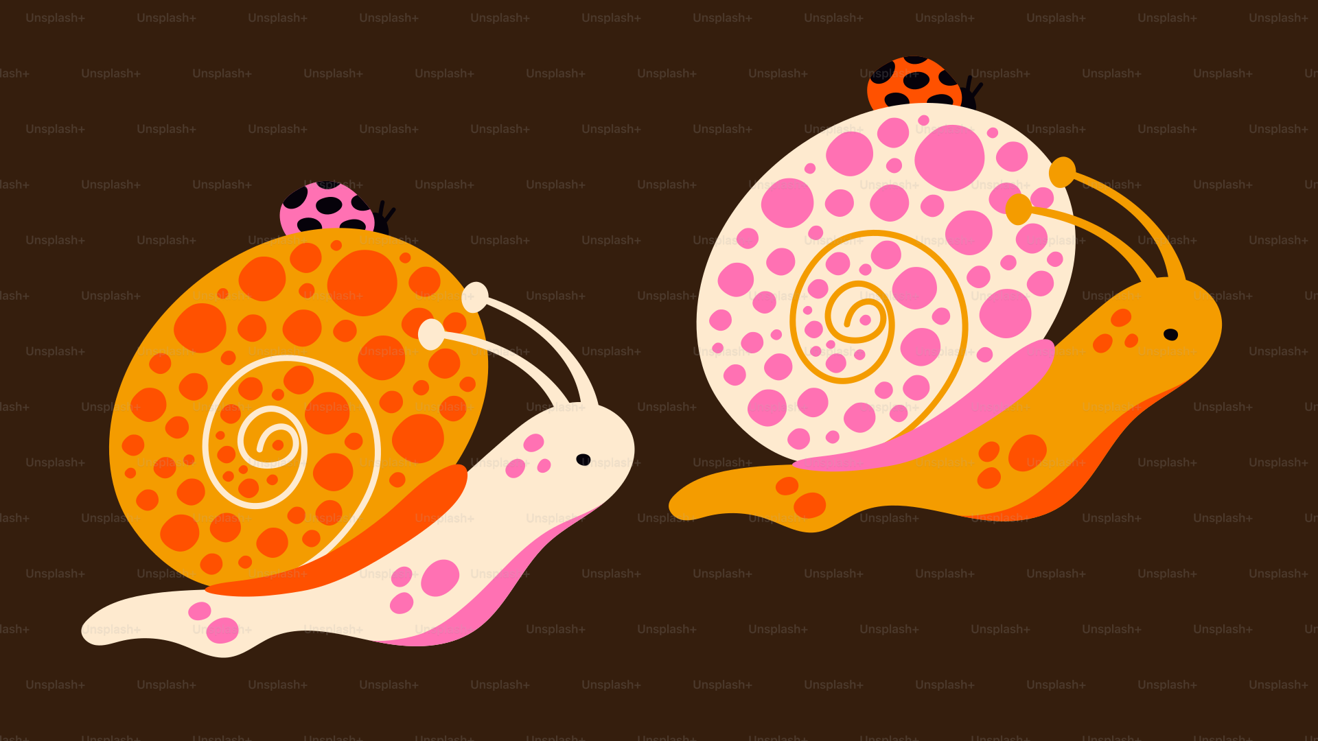 Two colorful snails are illustrated against a brown background.