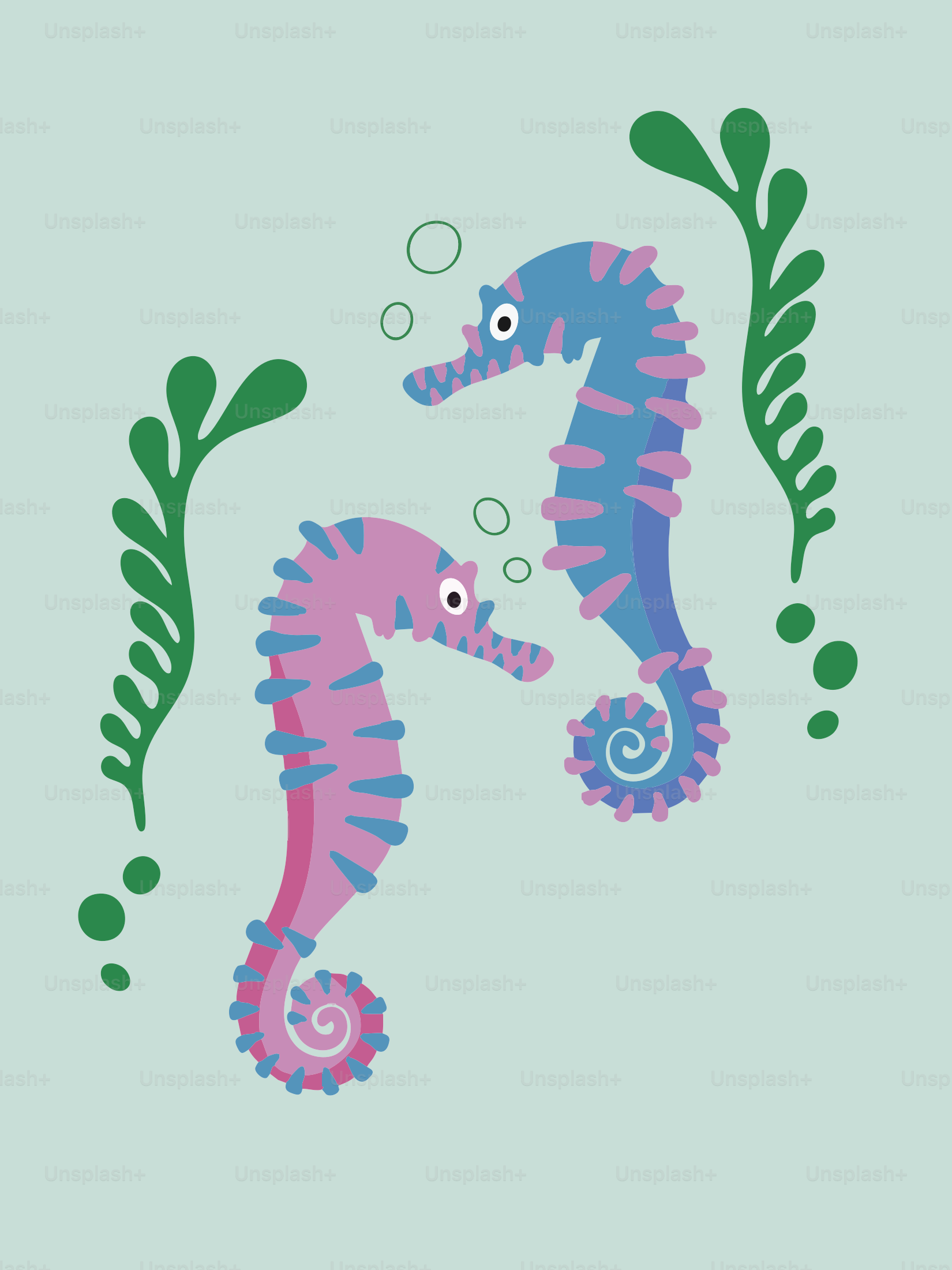Two colorful seahorses swim amongst seaweed.