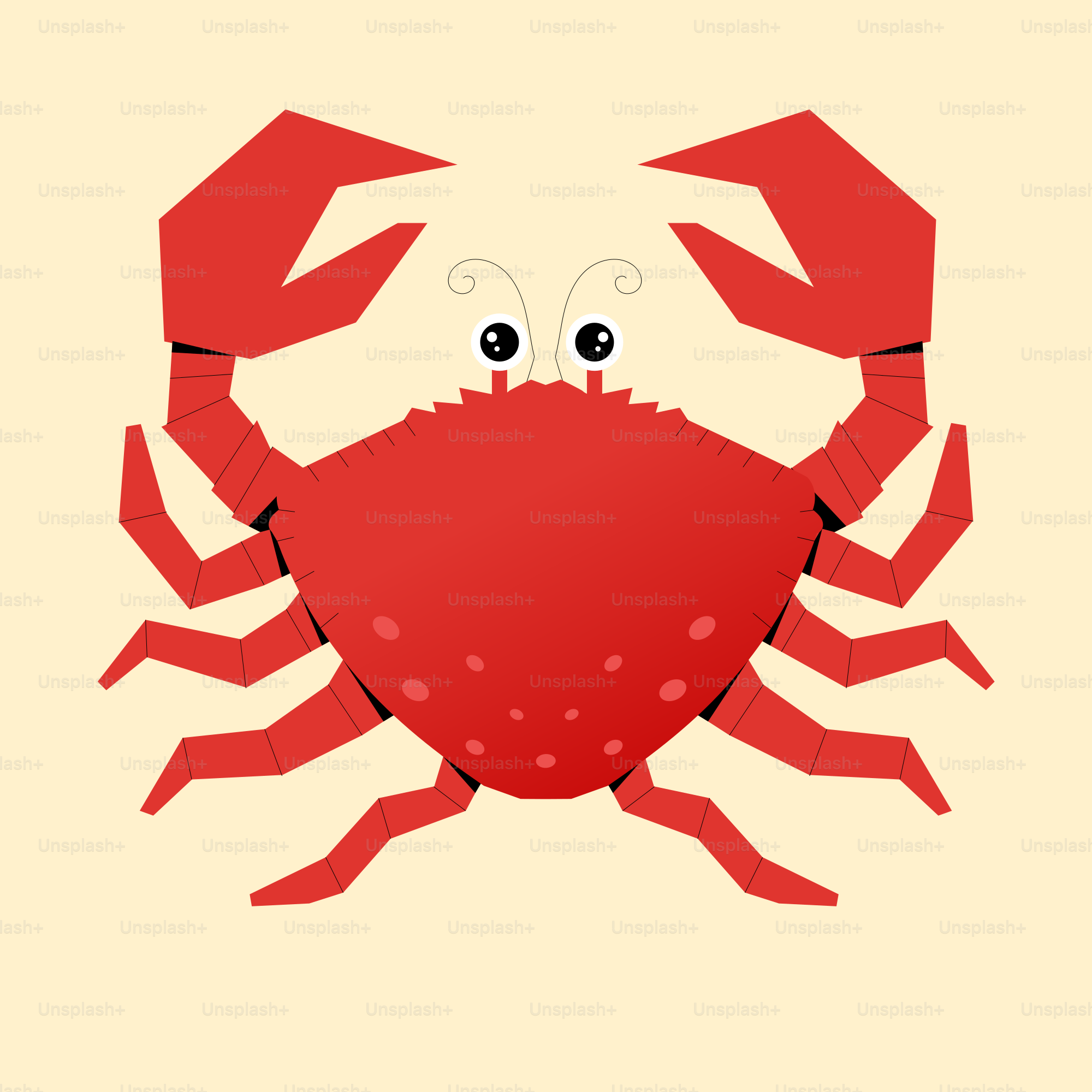 Un cangrejo de dibujos animados se muestra sobre un fondo amarillo.