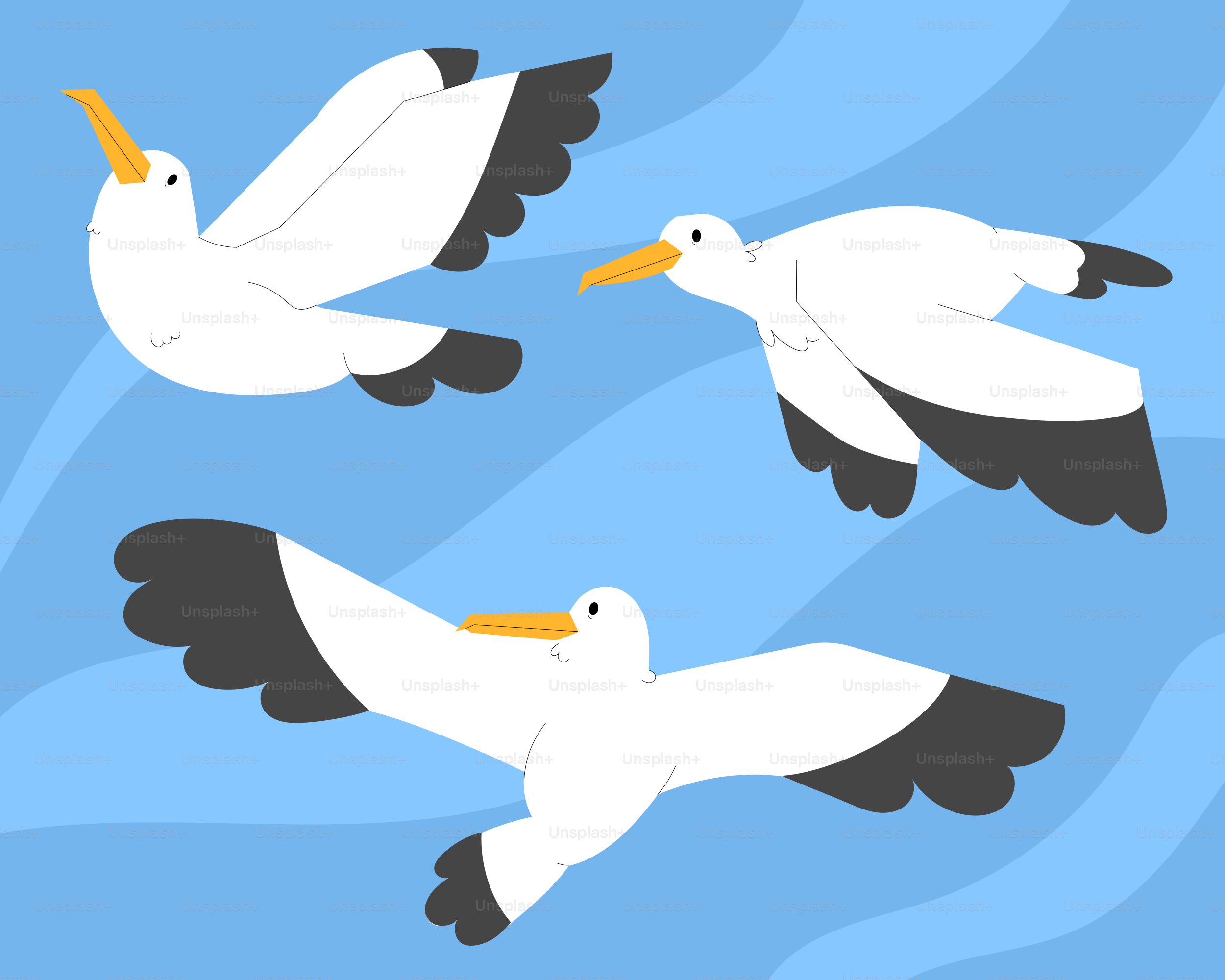 鳩はカラスの周りを飛び回ります。のベクター – Unsplashの動物の画像, image size:3000x2400