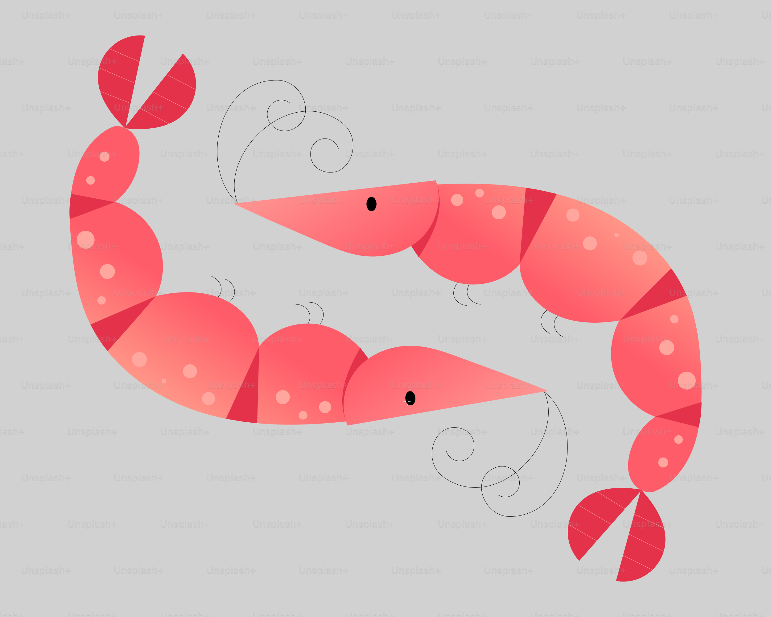 Two cartoon shrimp swim together on a gray background.