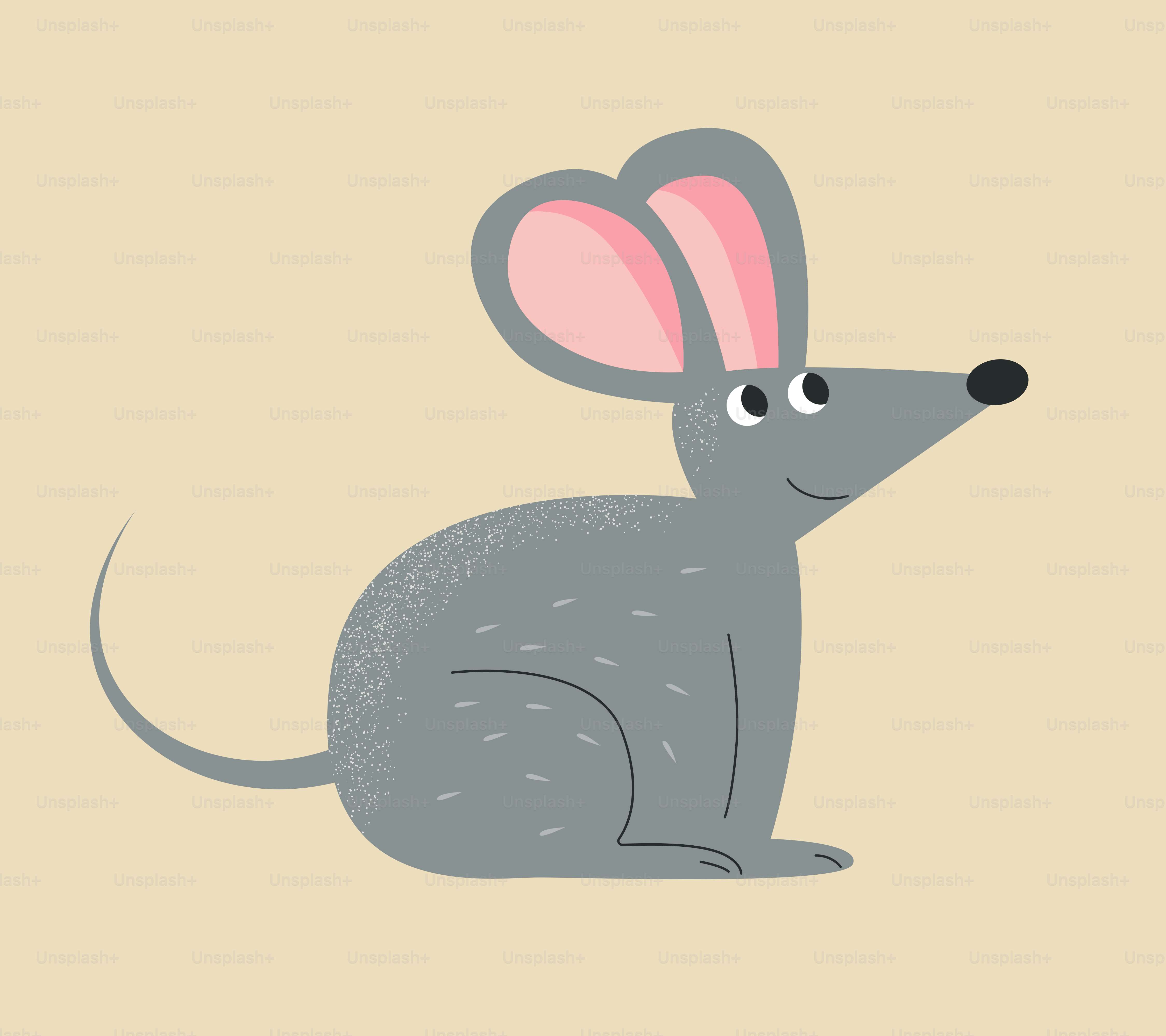Un ratón contempla el queso. vector – Imagen de Animal en Unsplash, image size:3000x2667