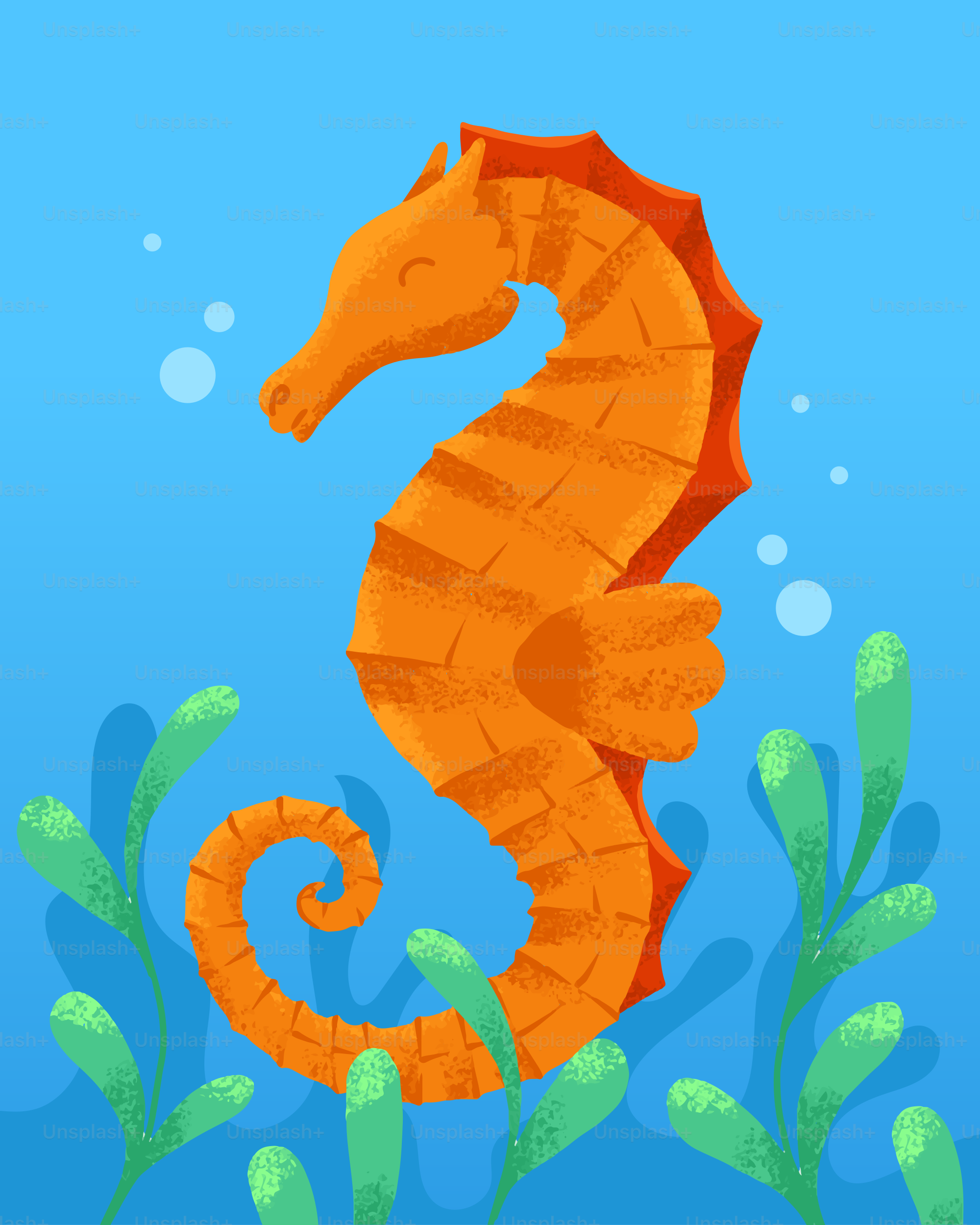 An orange seahorse swims in the ocean.