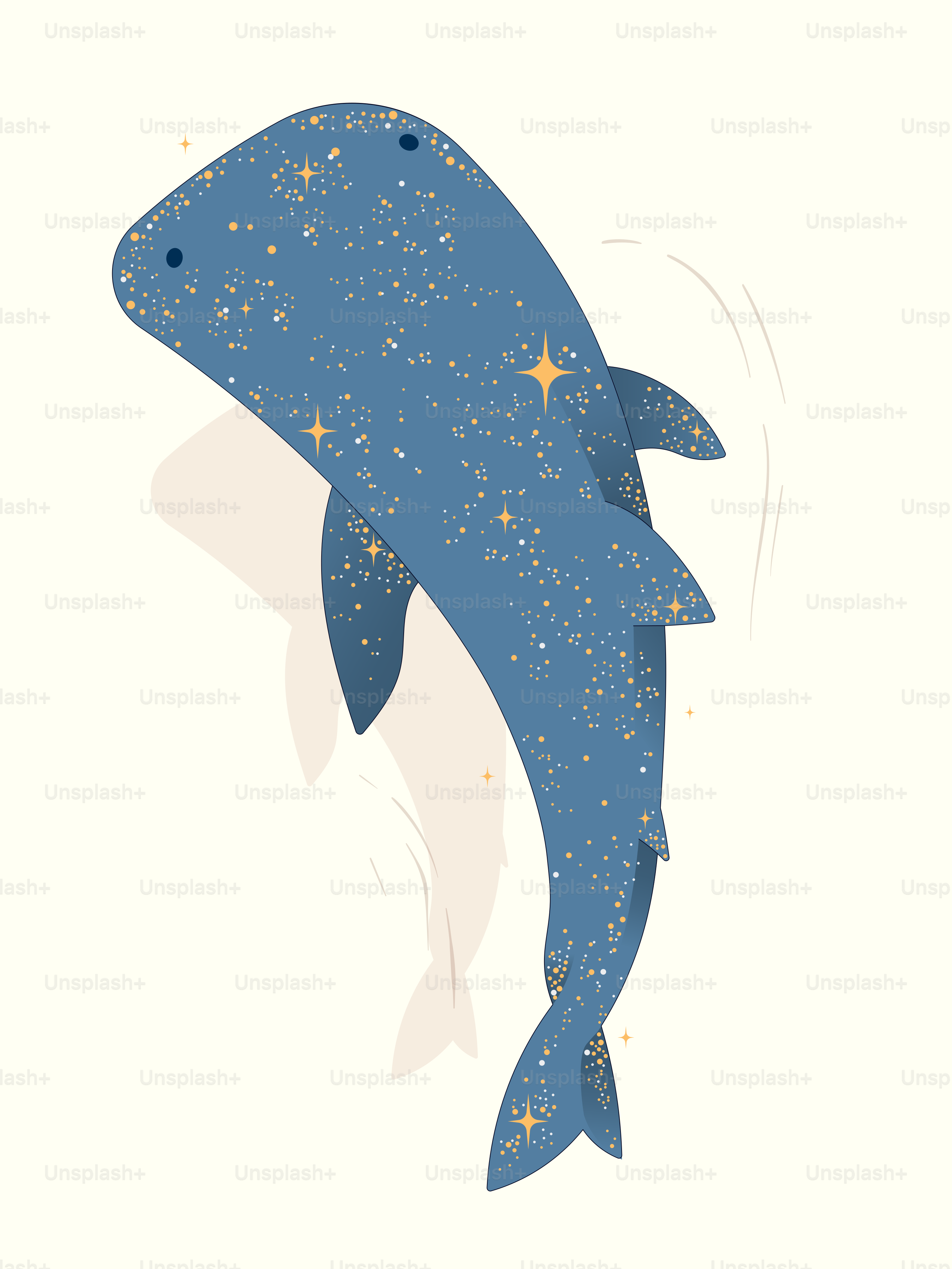 A whimsical illustration of a starry whale.