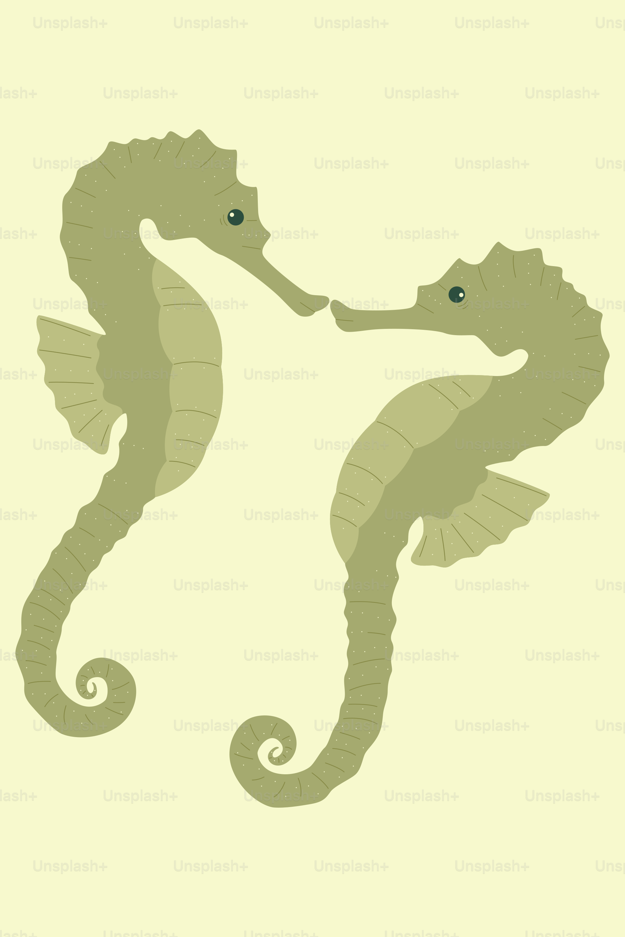 Two green seahorses face each other.