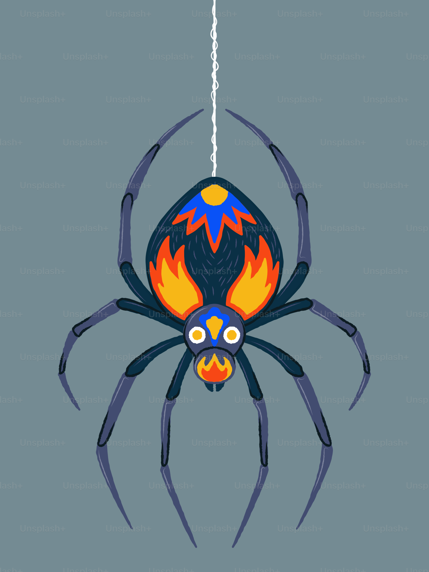 A colorful spider hangs from its web.