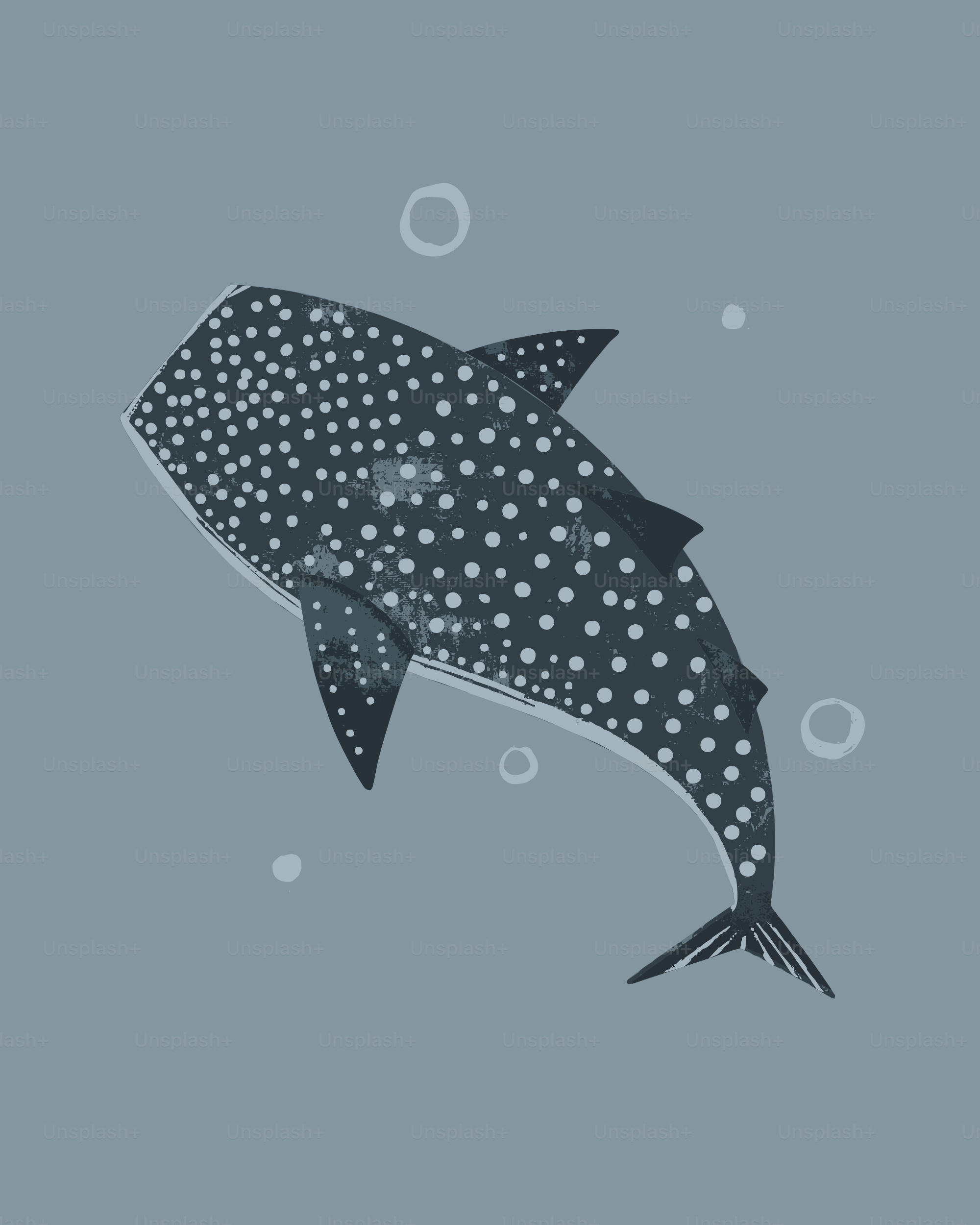 A whaleshark swims gracefully underwater.