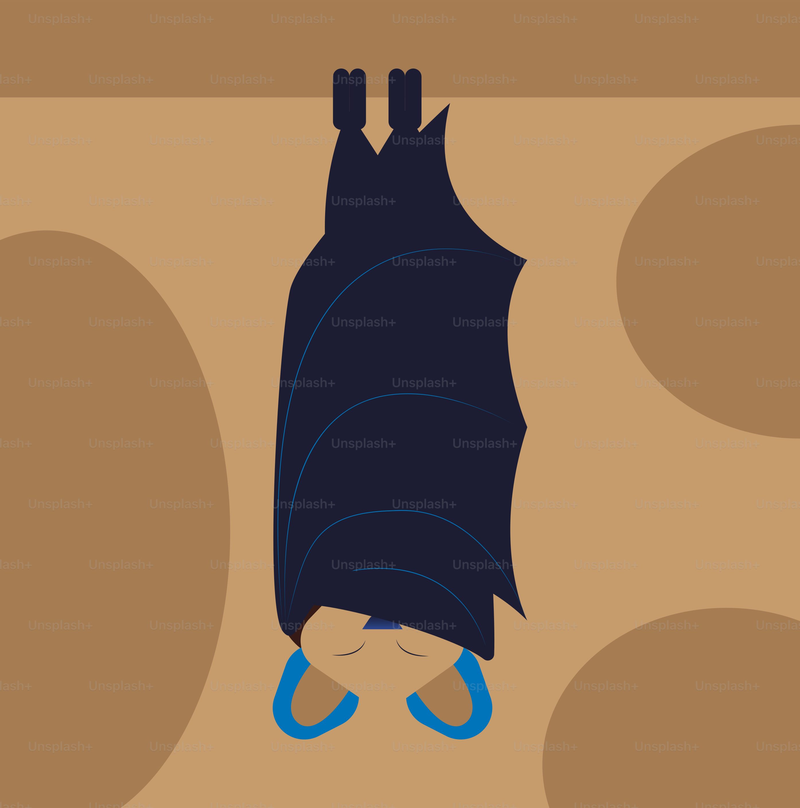 A bat hangs upside down in a cave.