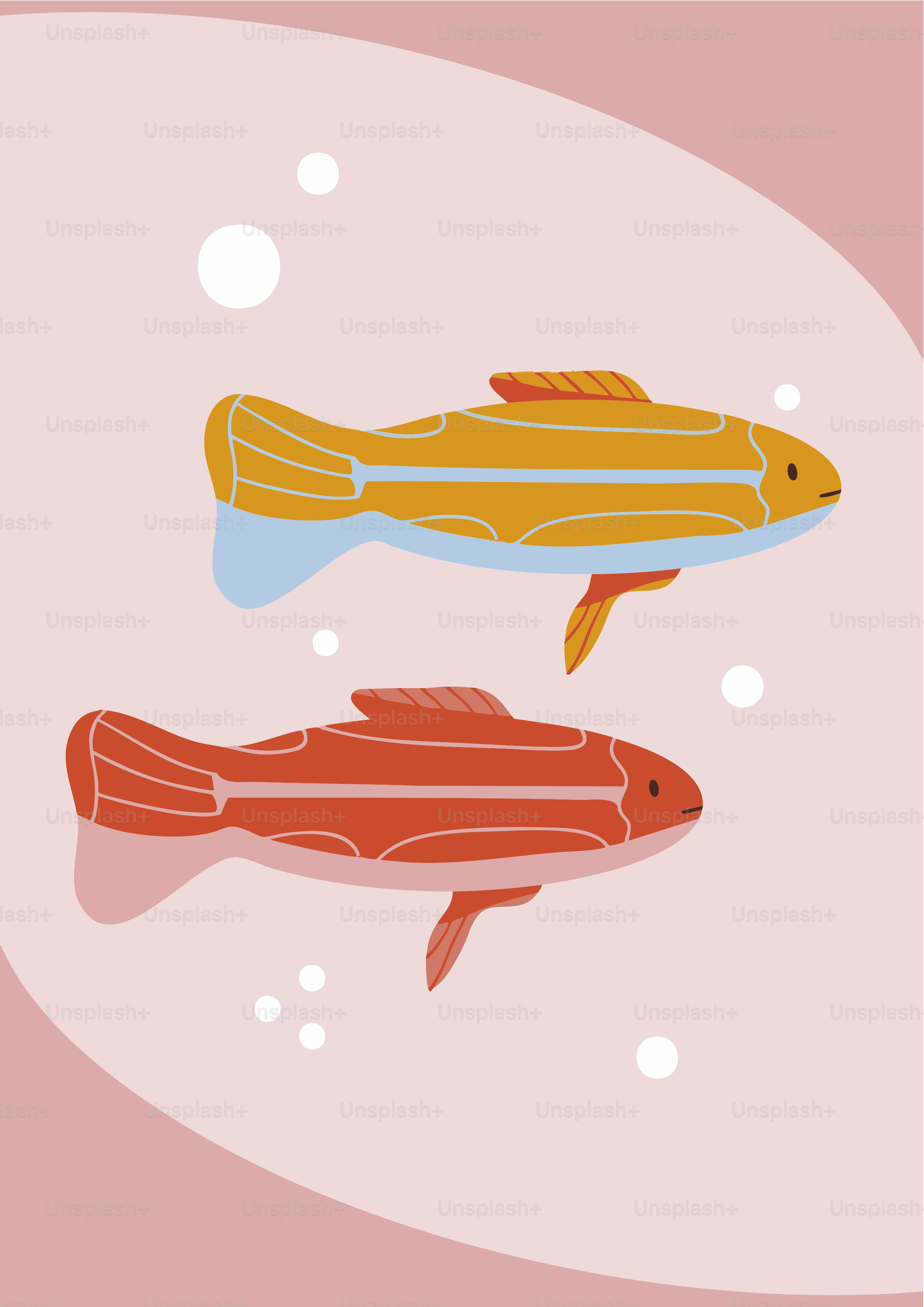 Due pesci colorati in stile cartone animato nuotano sott'acqua.